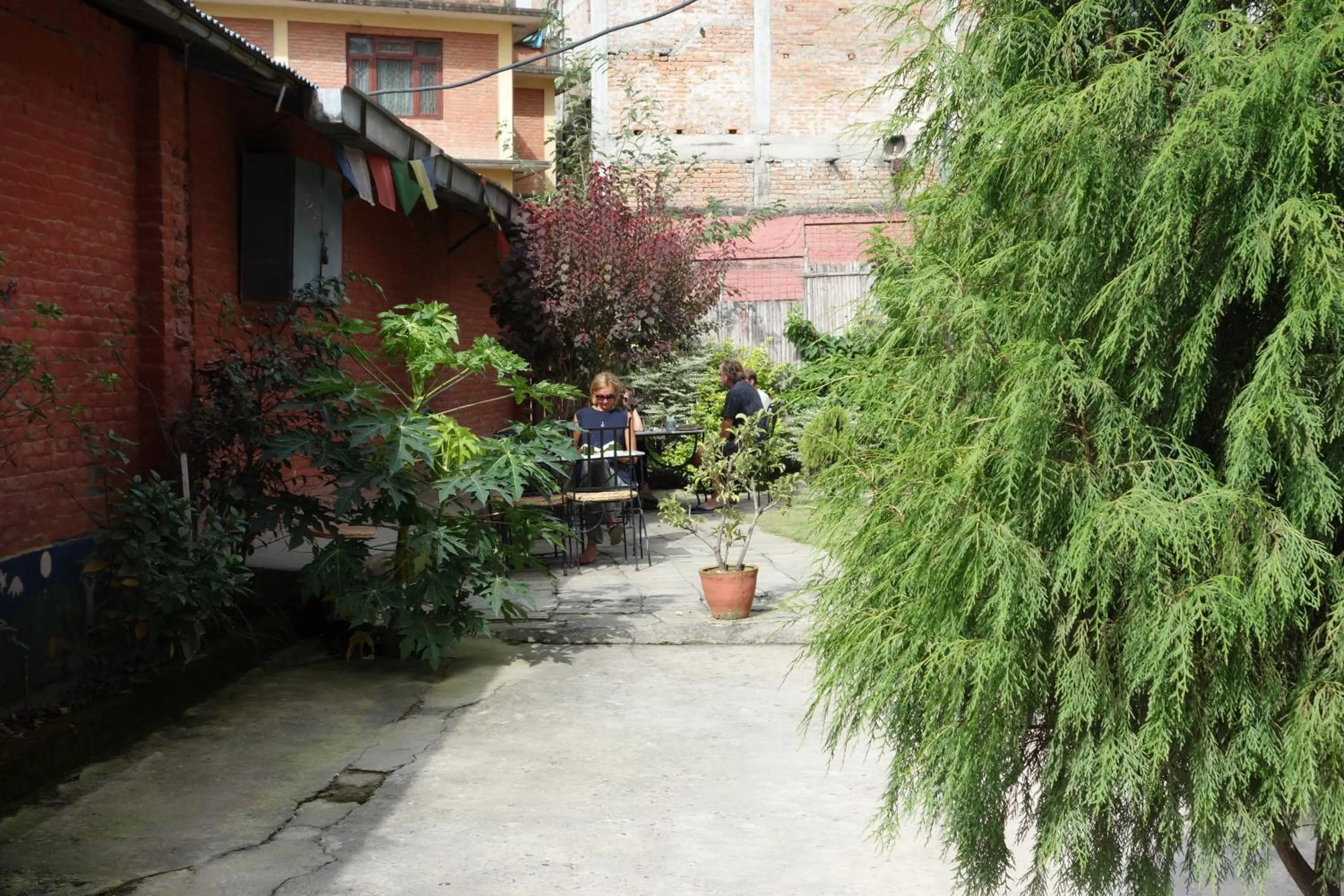 Garden in Bodhi Guest House