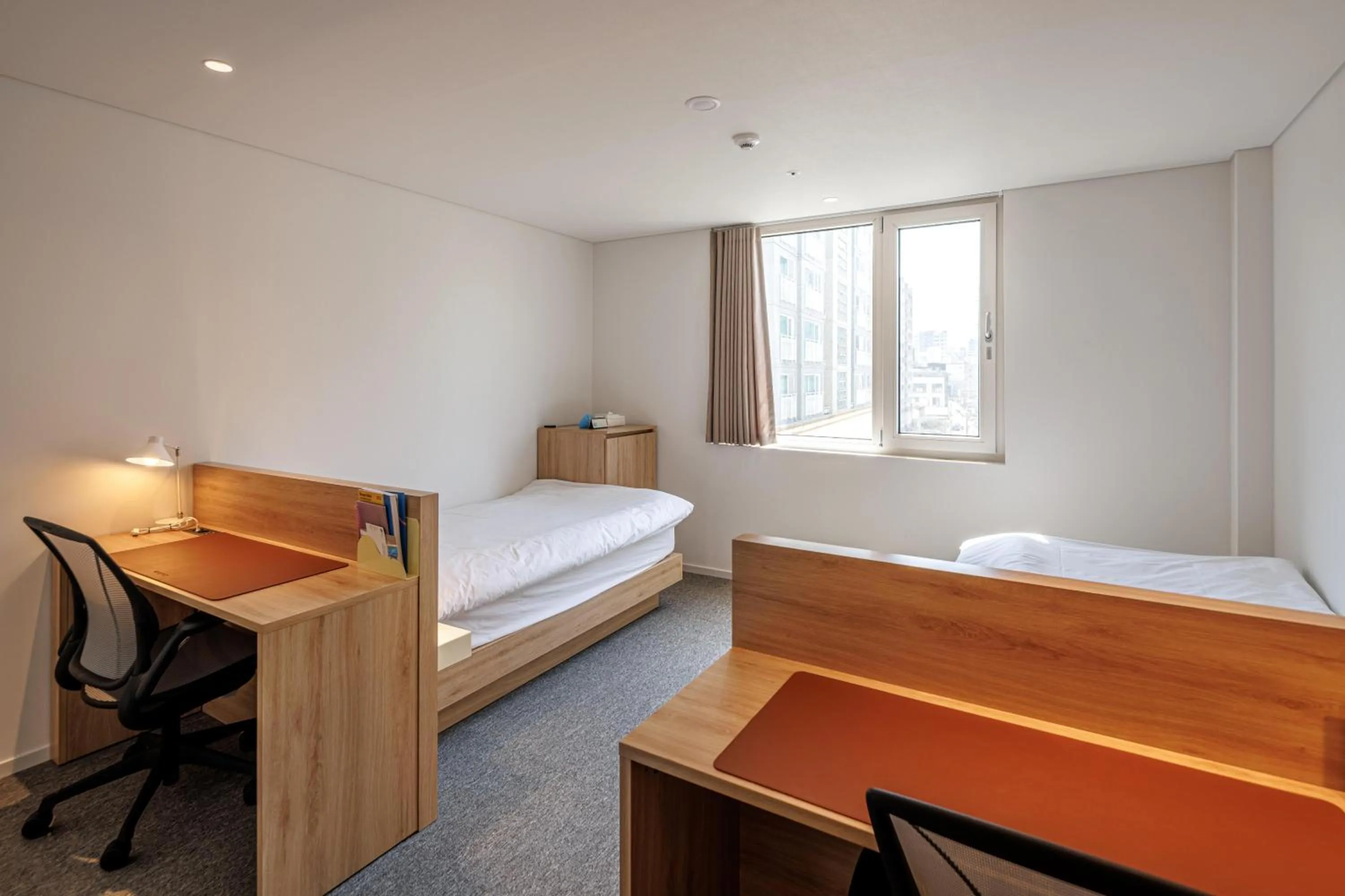 City view, Bed in Mangrove Jeju City