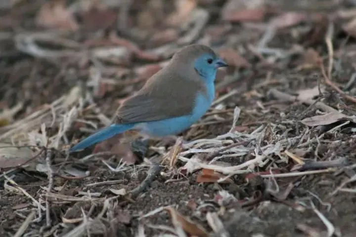 Quality Inn Hotel Kigali