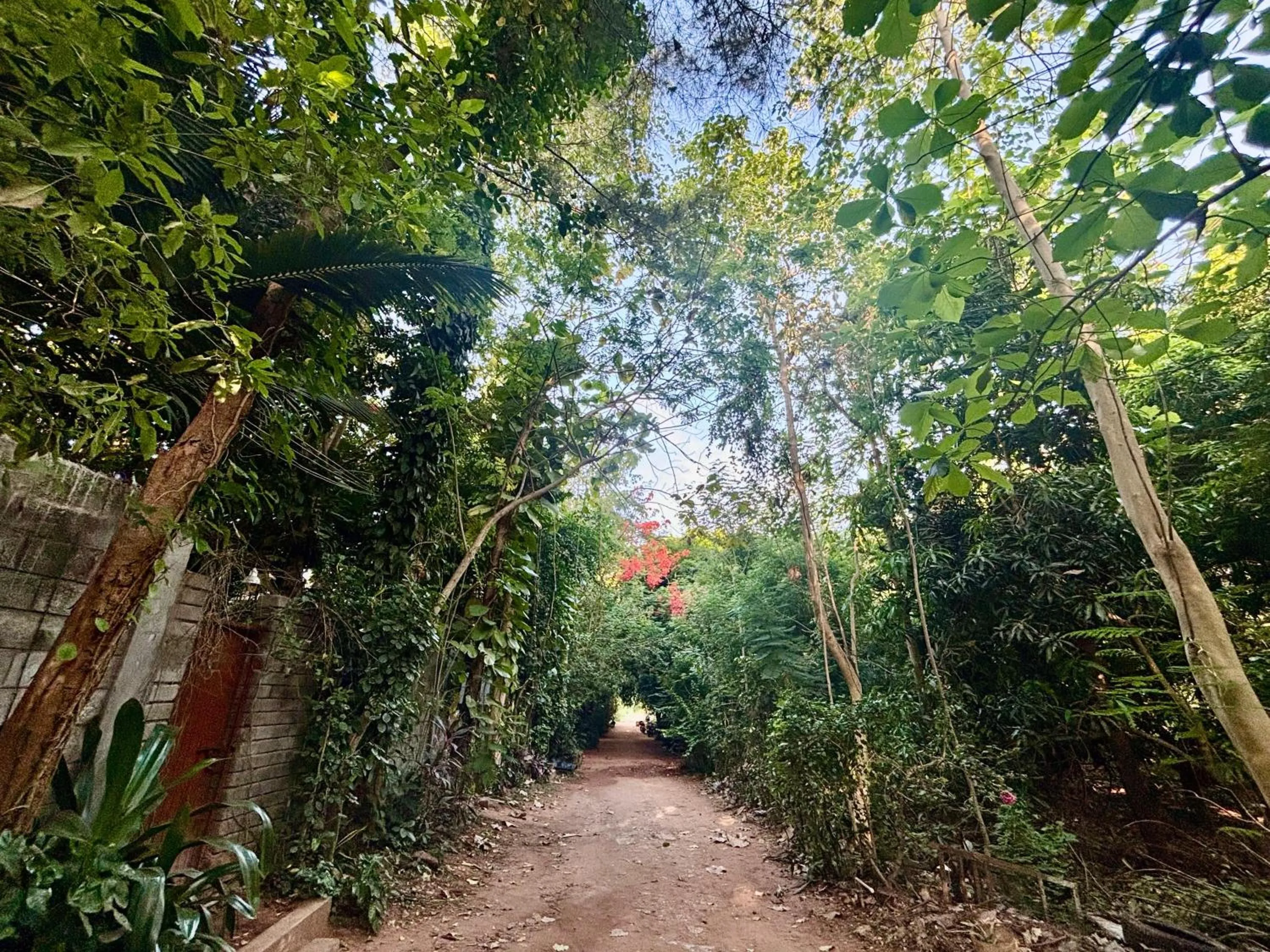 Property building in Hotel De Jardin Pondicherry with Swimming Pool