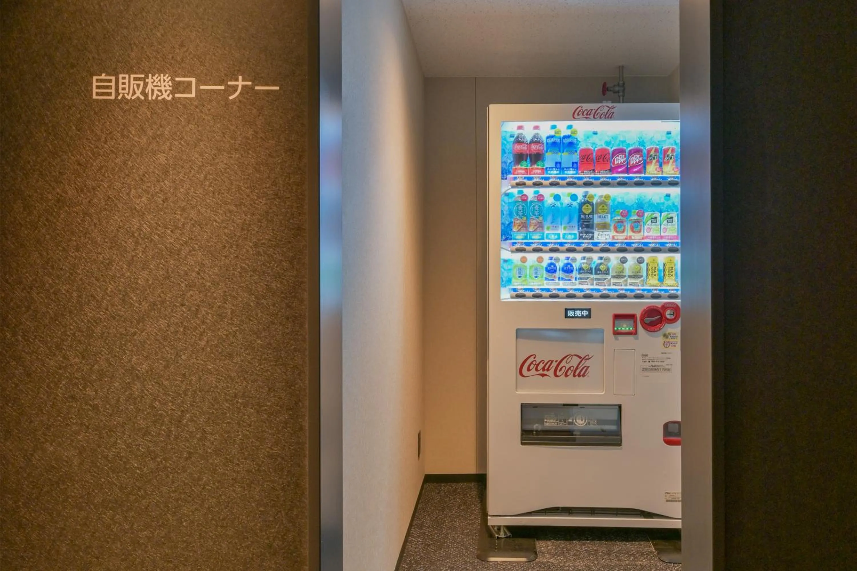 HOTEL R9 Premium Ichikawaekimae