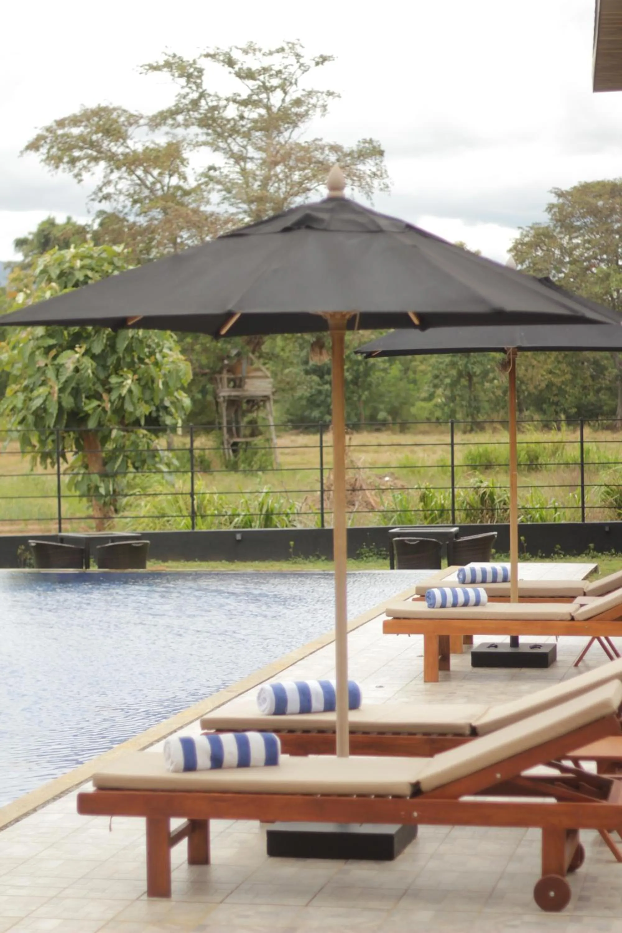 Natural landscape in Hotel Sigiriyaaya