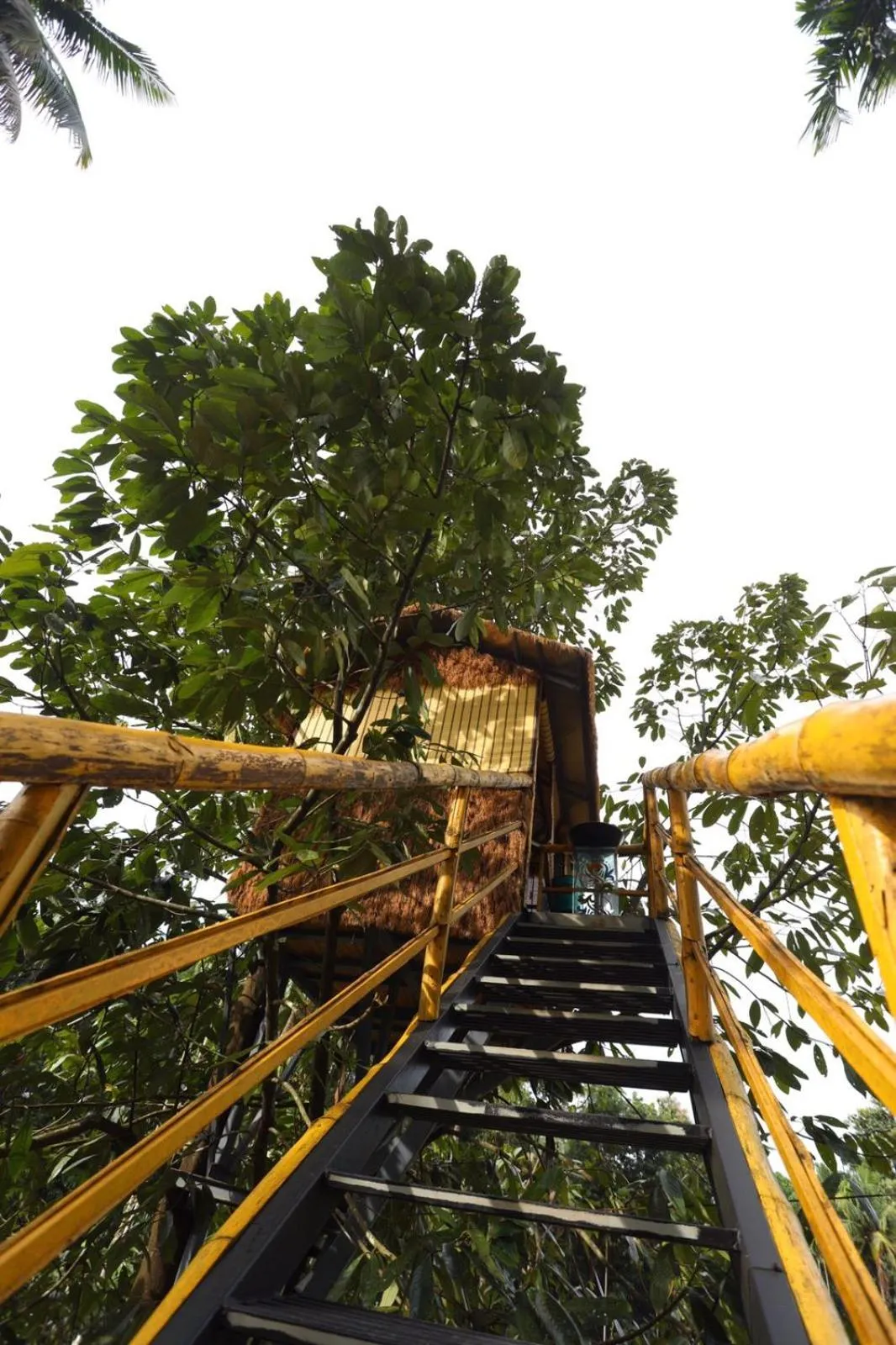 Garden in Karingens Resort