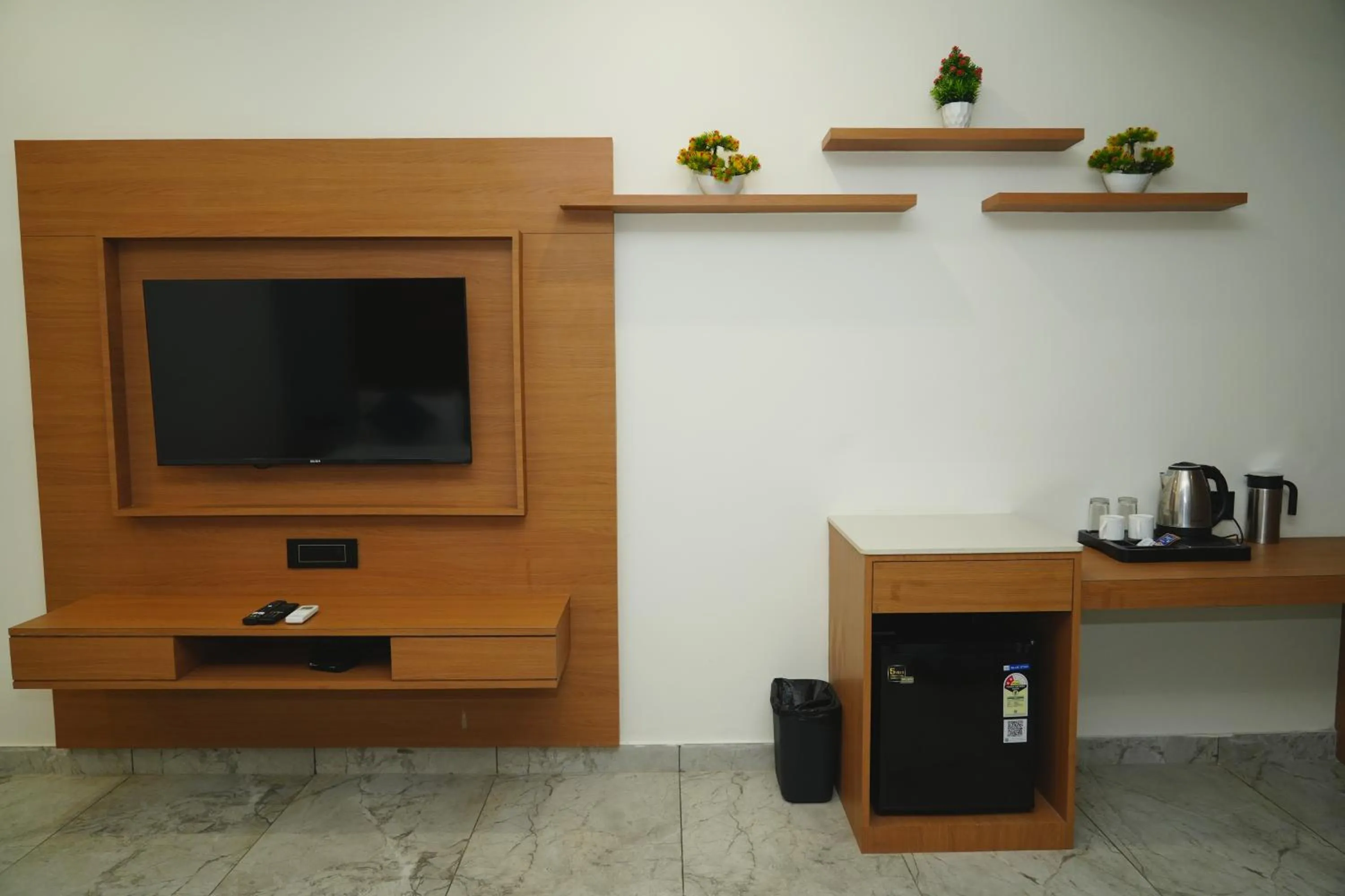 TV and multimedia in Hotel Leela's