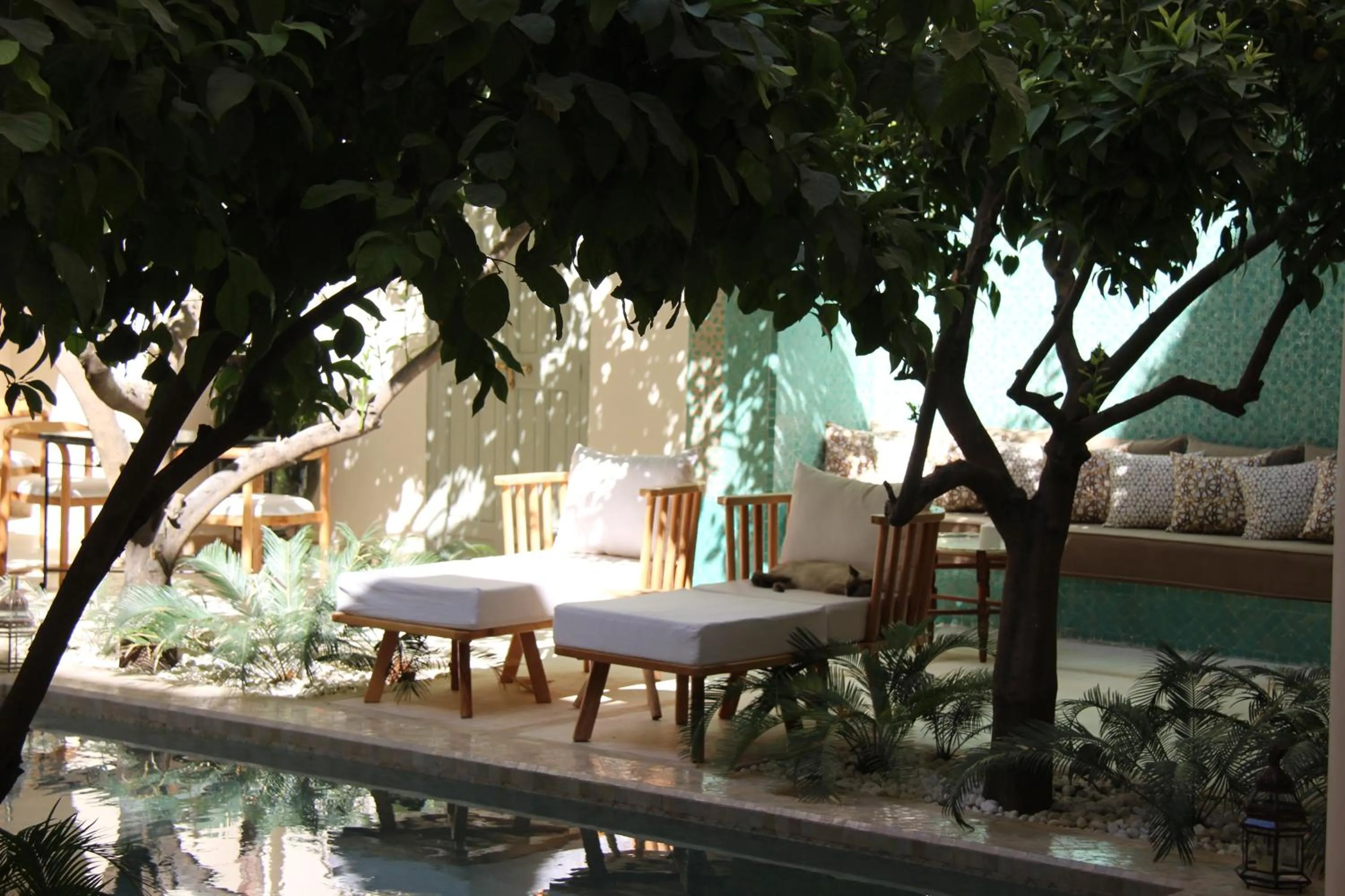 Patio in Riad Emberiza Sahari