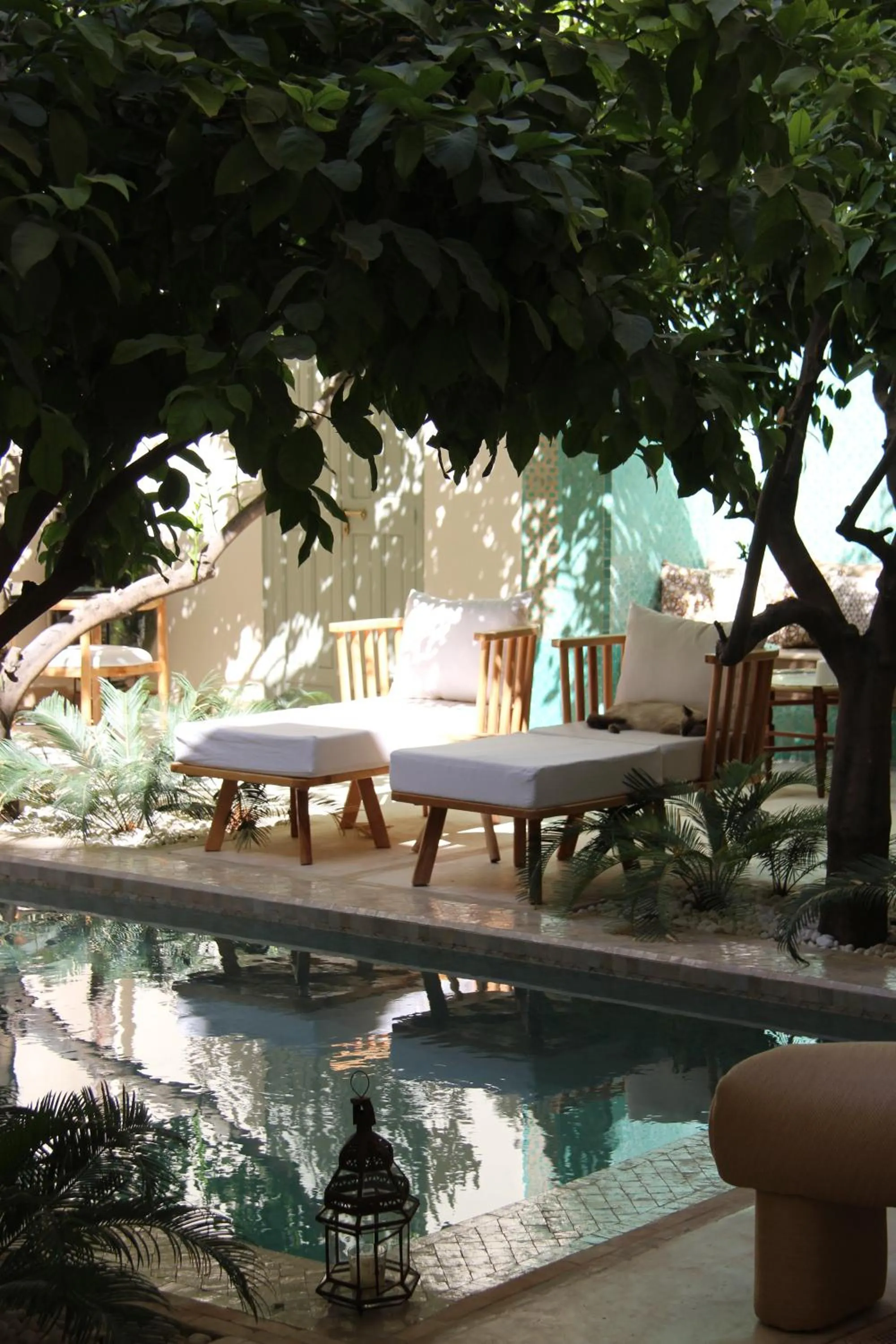 Patio in Riad Emberiza Sahari