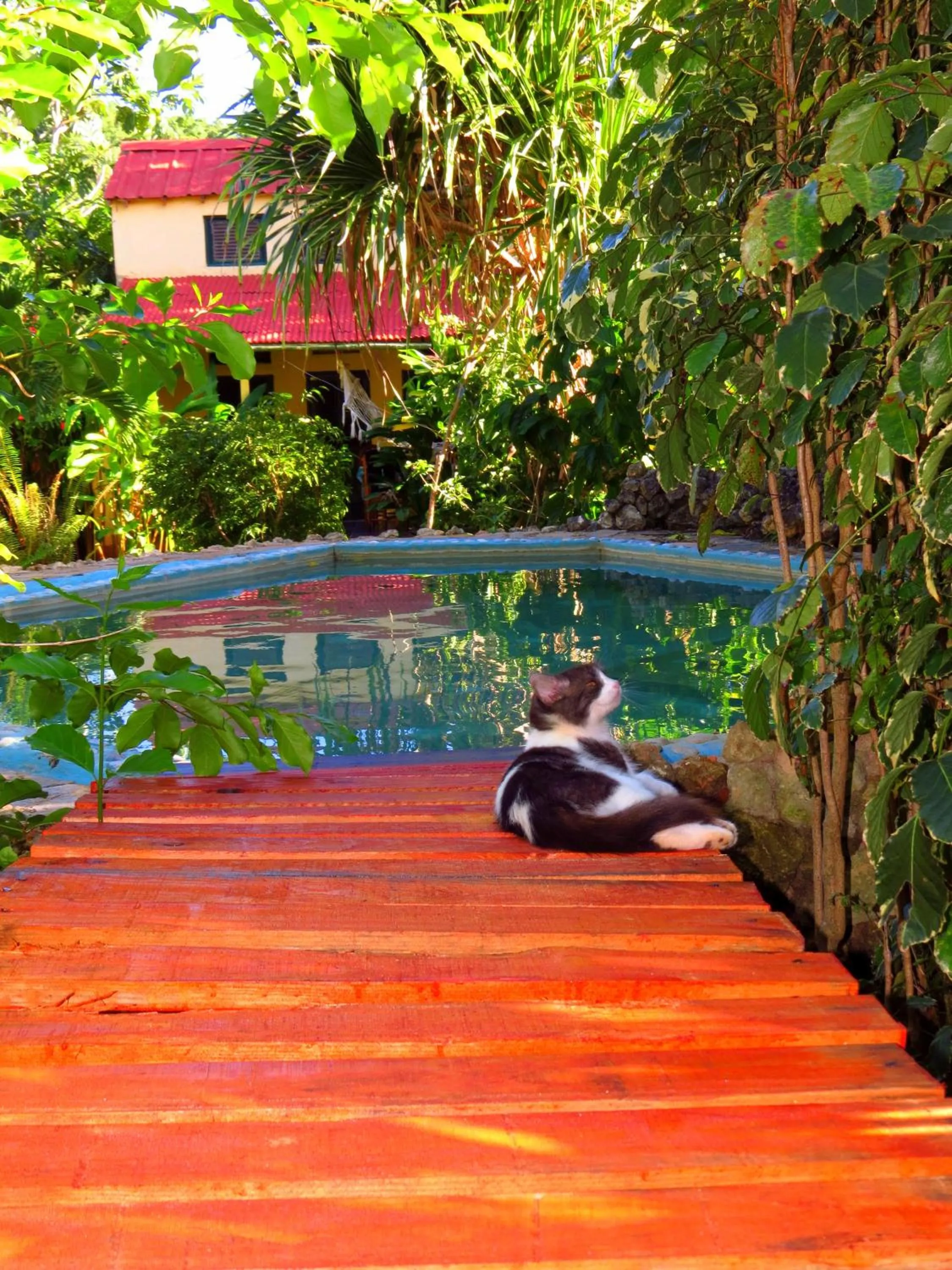 Garden in La Rancheta