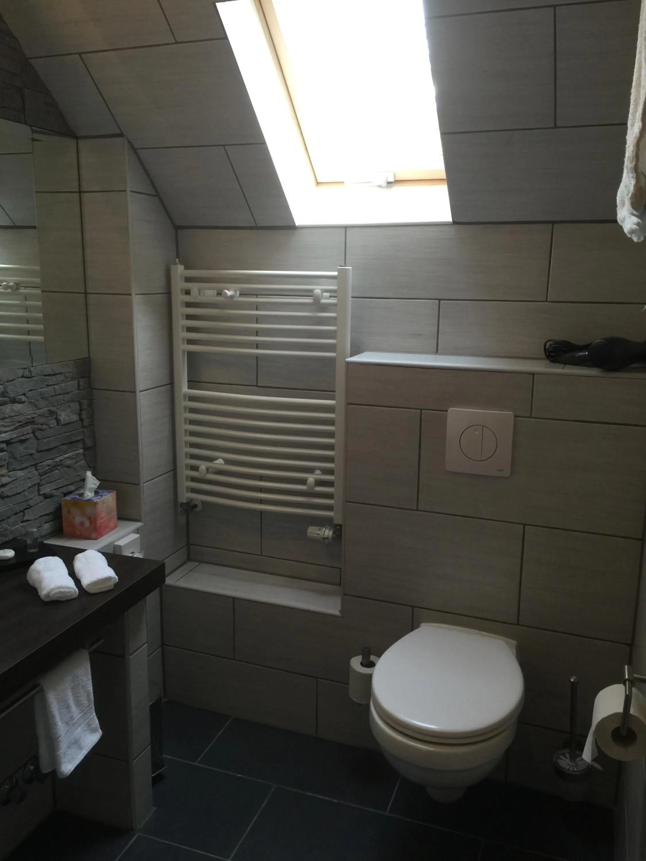 Toilet in Hotel Achilles