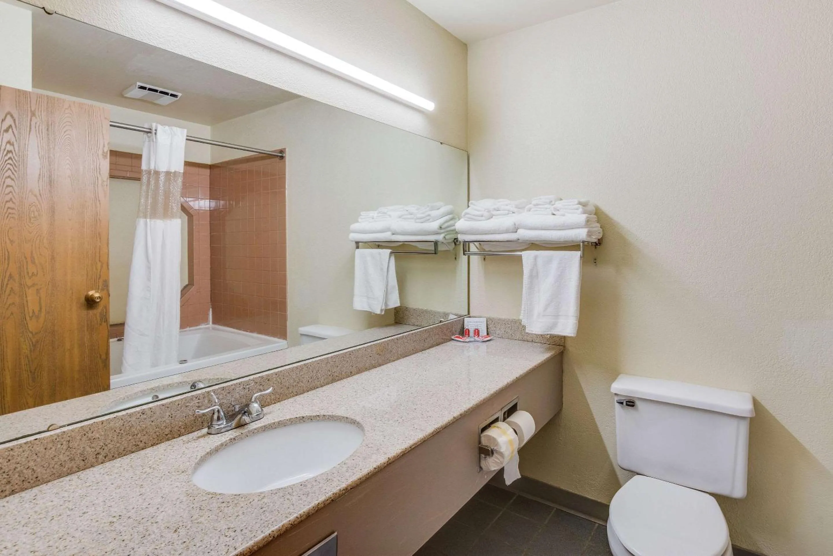 Bathroom in Econo Lodge Whitehall near Michigan's Adventure