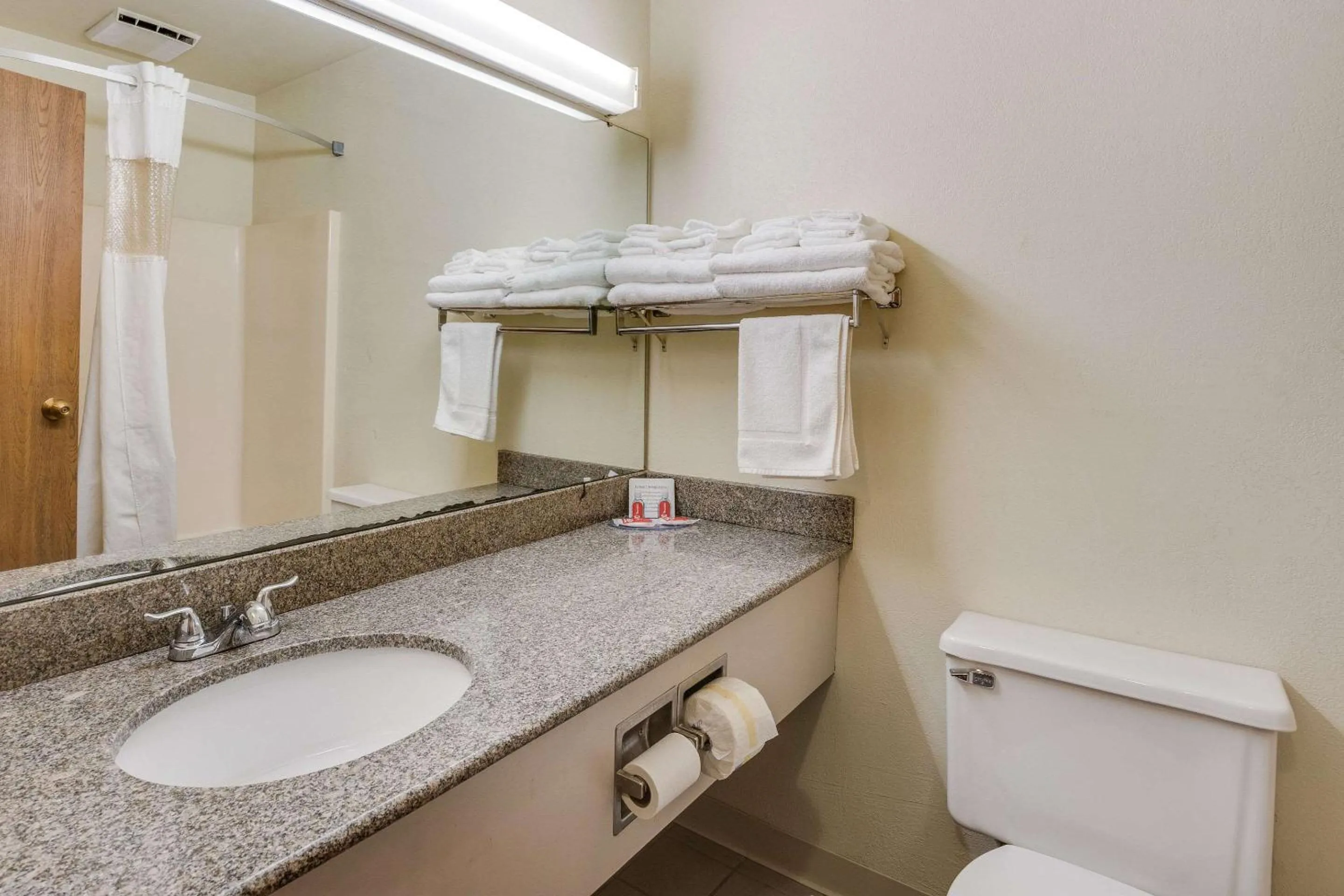 Bathroom in Econo Lodge Whitehall near Michigan's Adventure