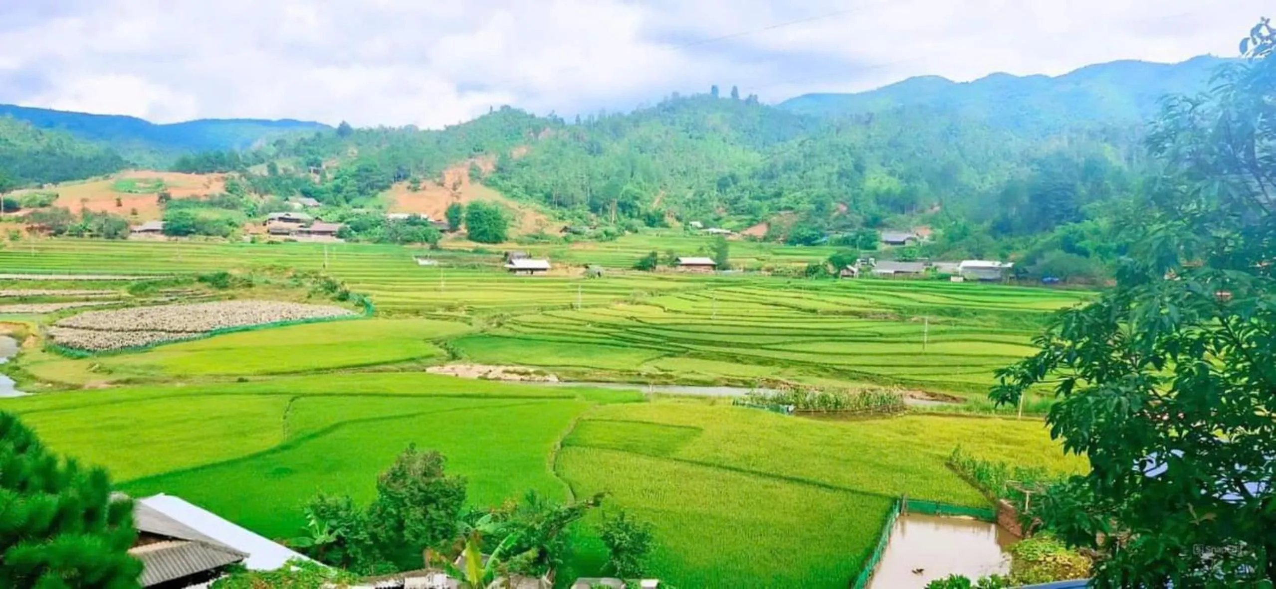 Balcony/Terrace in Lam Ecolodge Mu Cang Chai