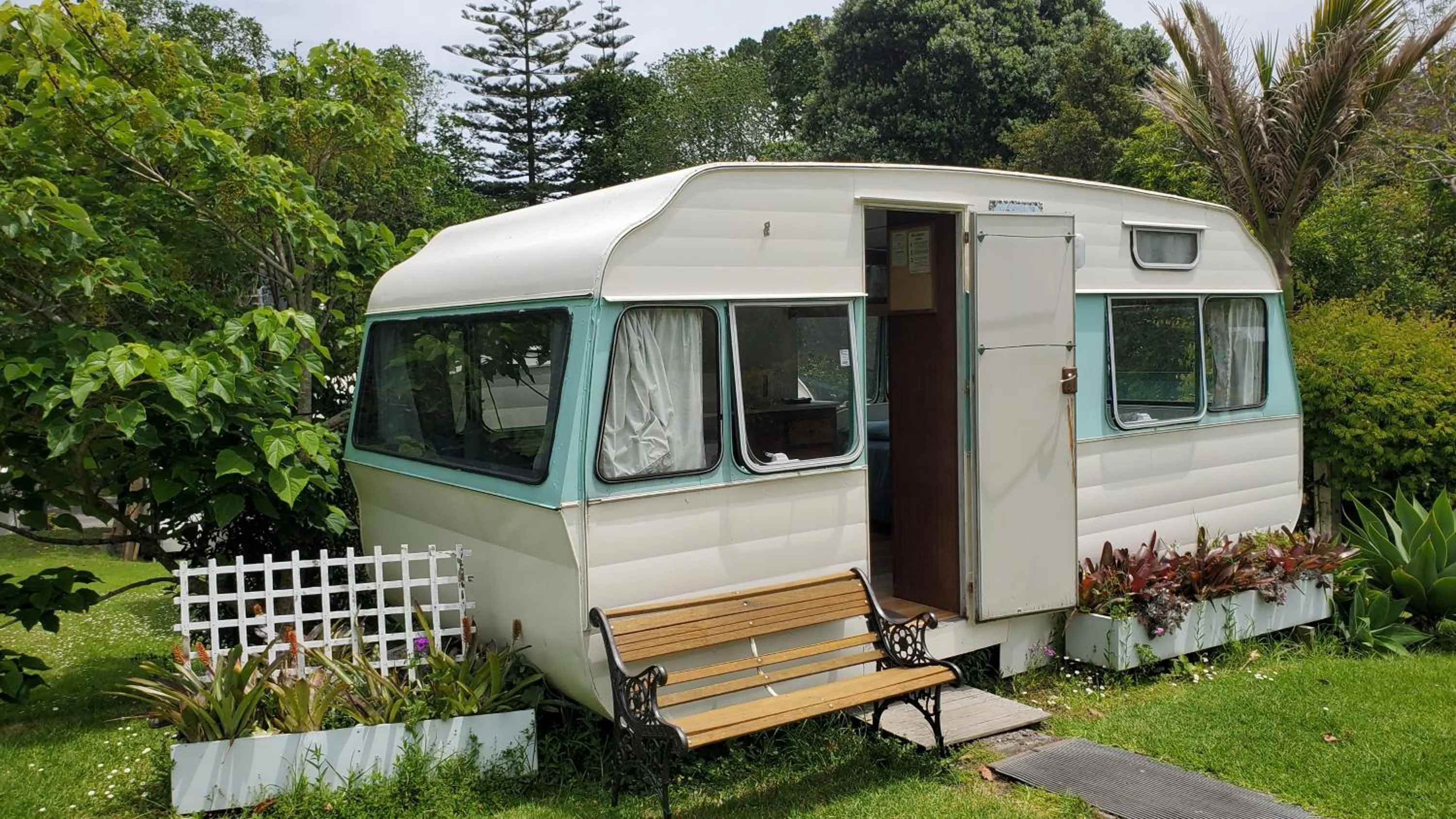 Natural landscape in Dickson Holiday Park