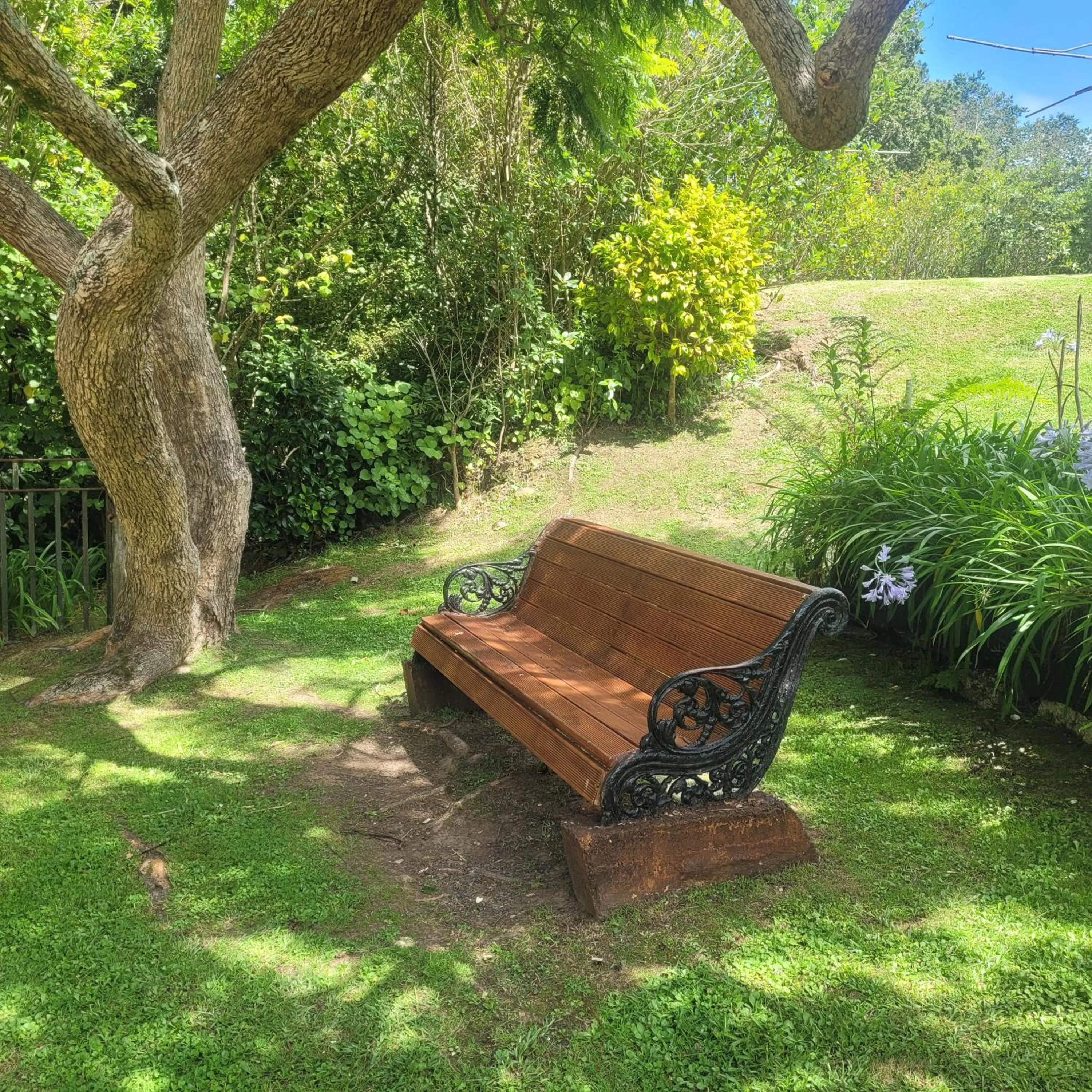 Natural landscape in Dickson Holiday Park