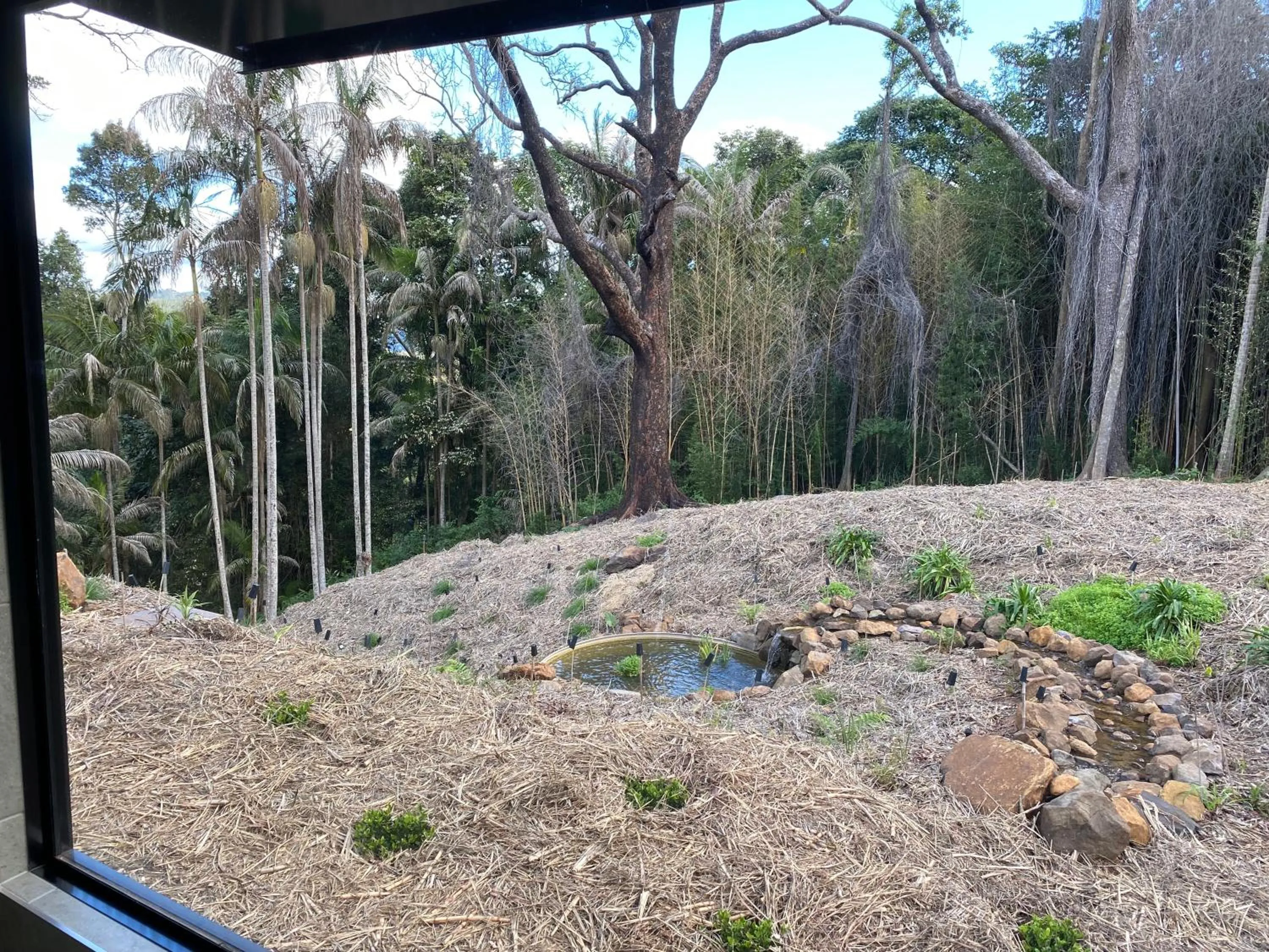 Montville Misty View Cottages