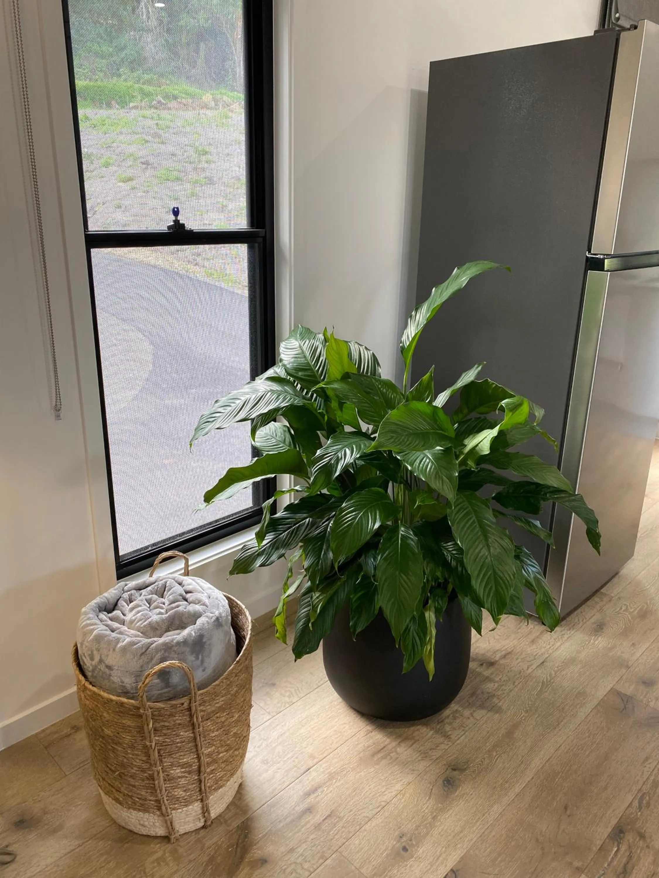 Montville Misty View Cottages