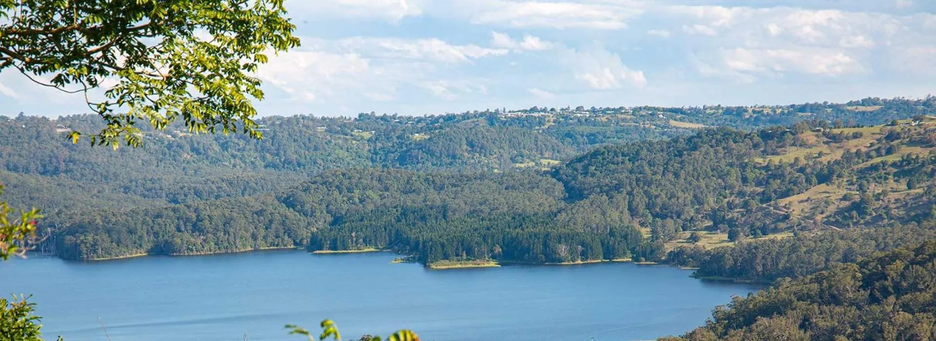 Natural landscape in Montville Misty View Cottages