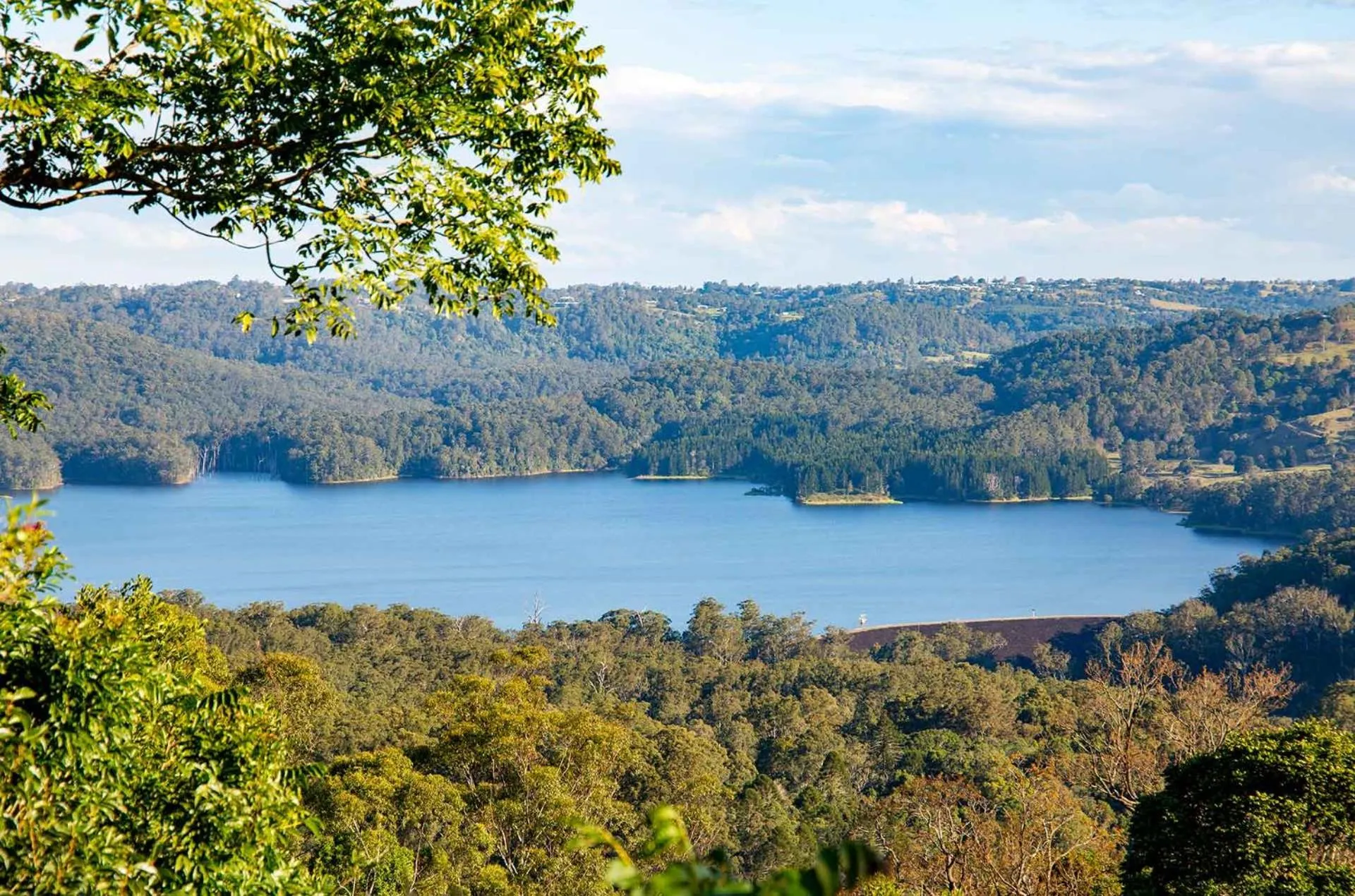 Natural landscape in Montville Misty View Cottages