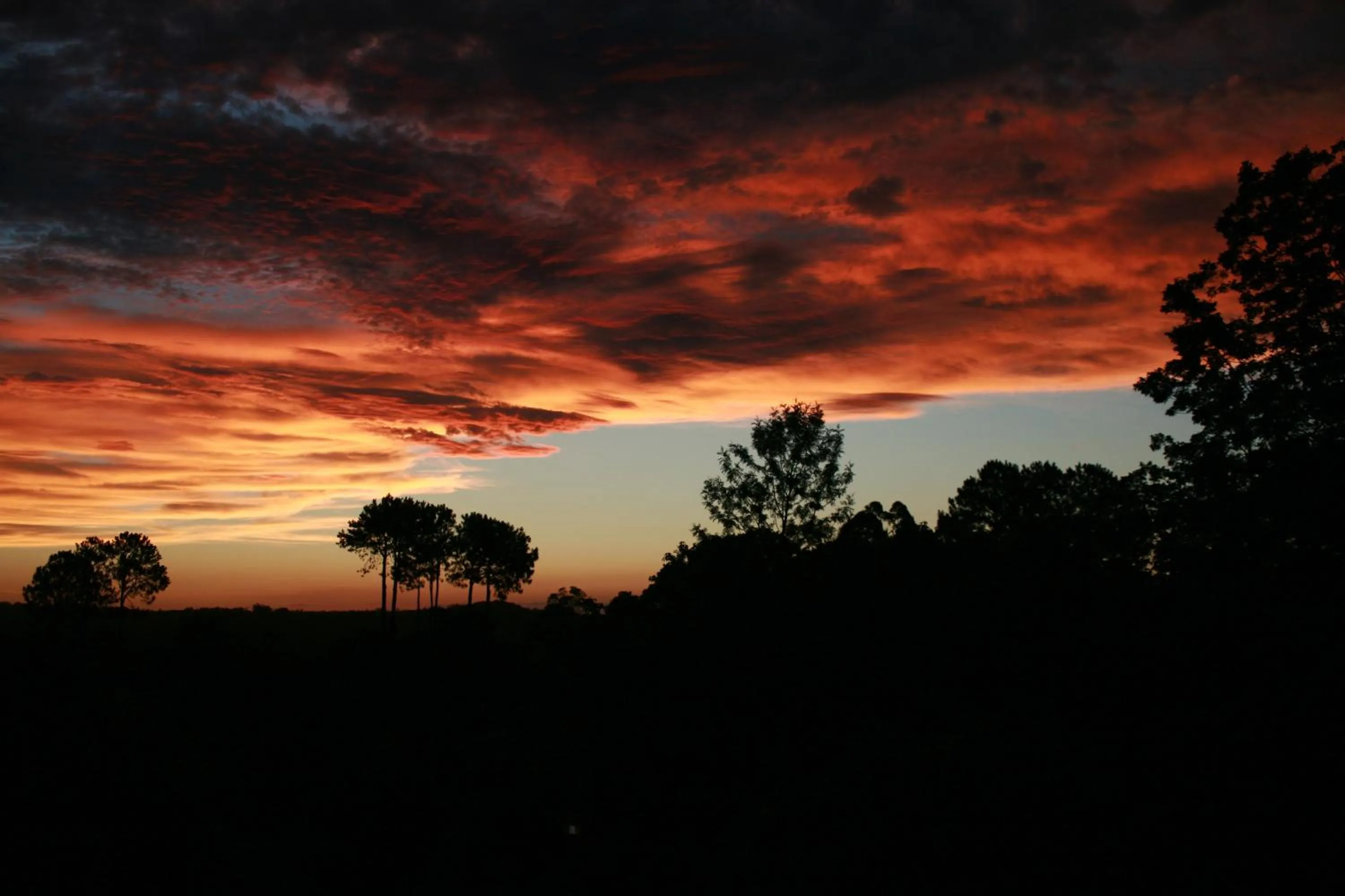 View (from property/room) in Montville Misty View Cottages