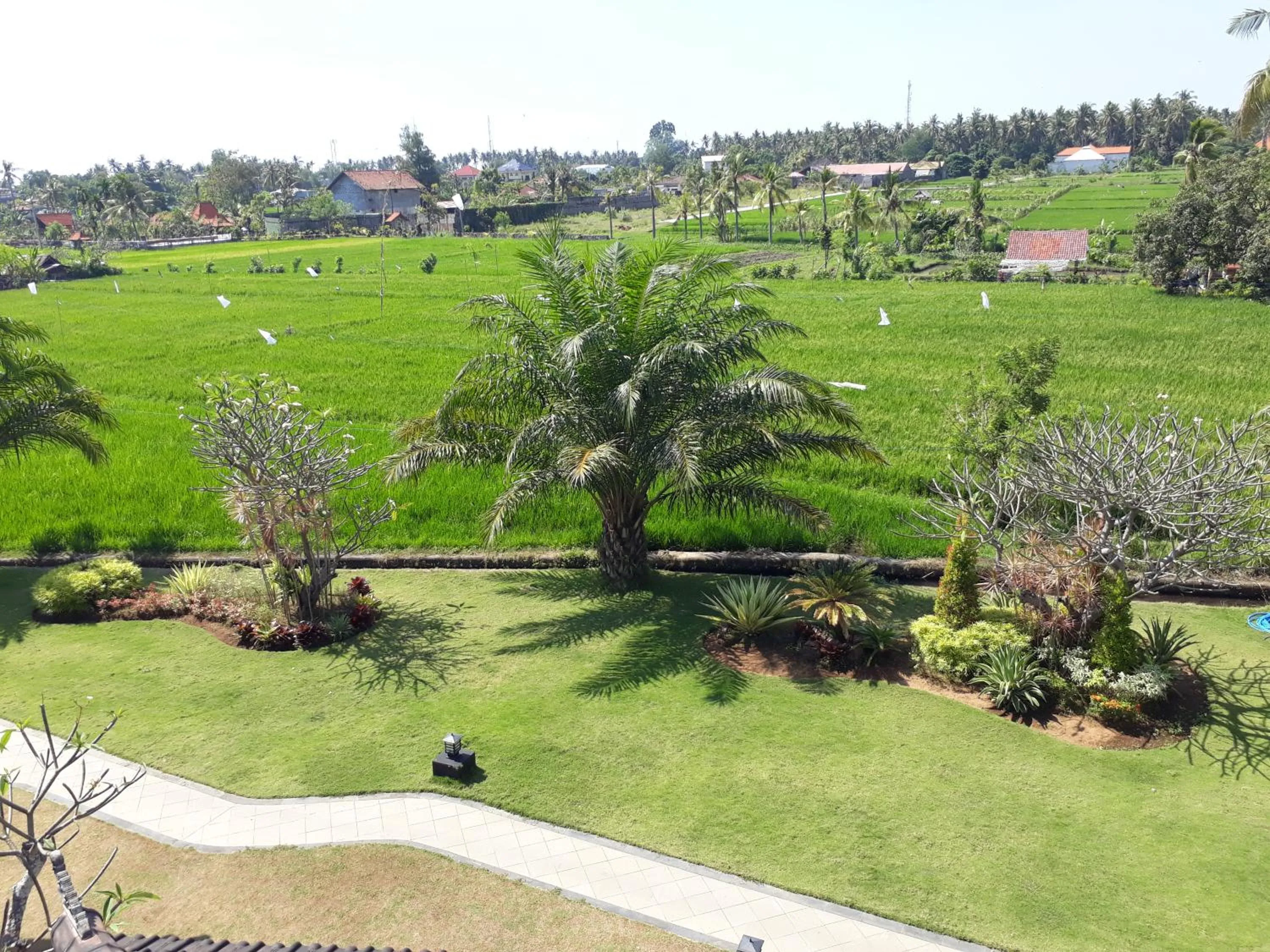 Garden in Pandawa Village