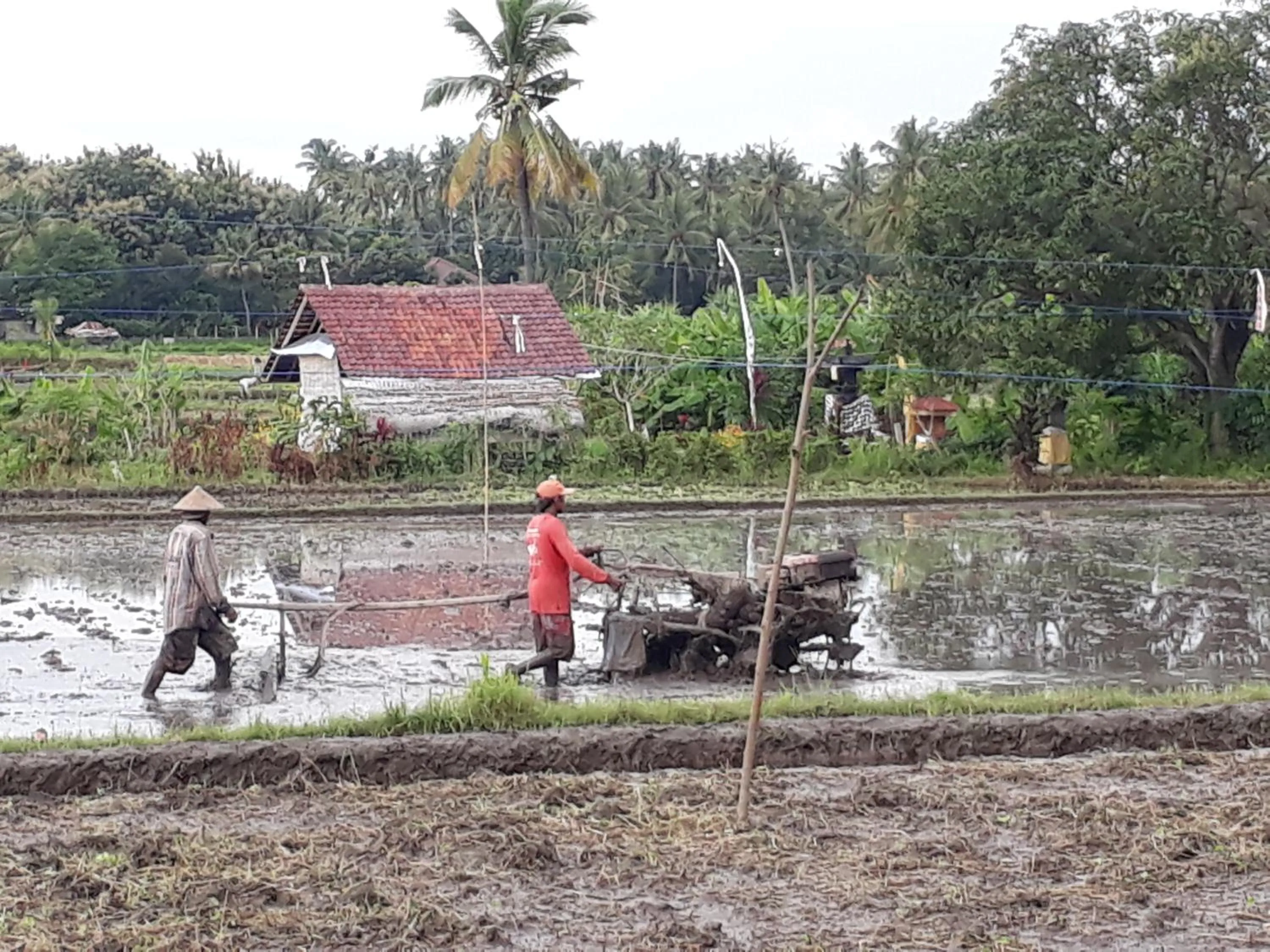 Restaurant/places to eat in Pandawa Village