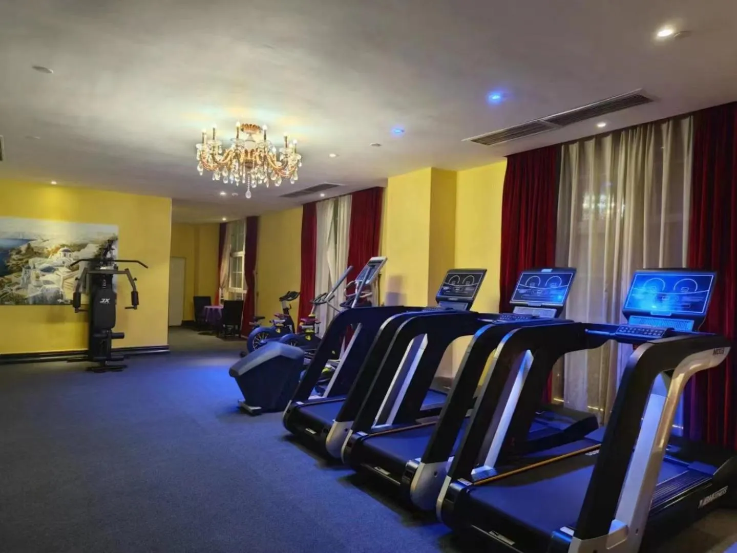 Fitness centre/facilities in The Royal Pinnacle Hotel