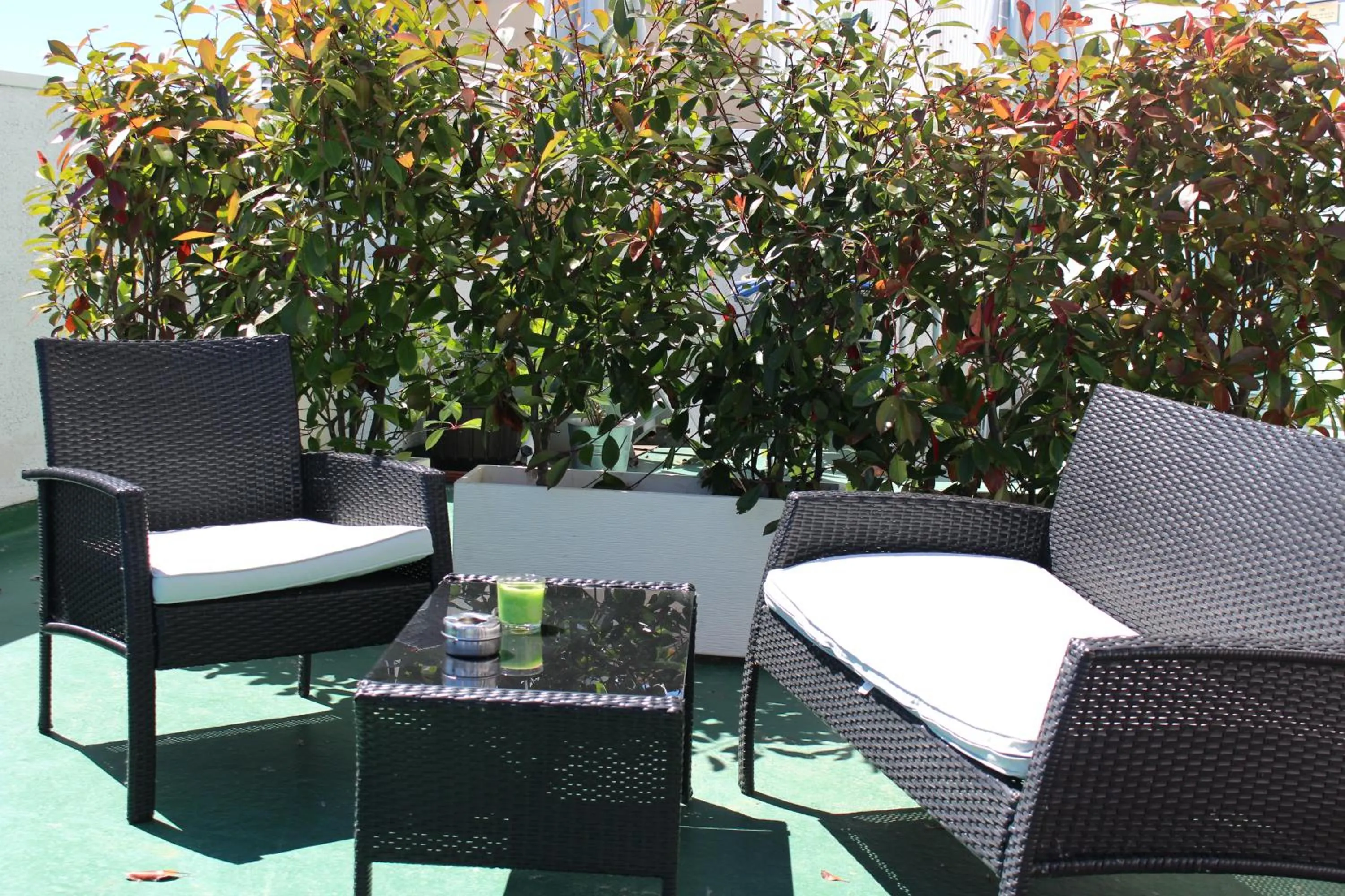 Balcony/Terrace in Hotel As Camelias