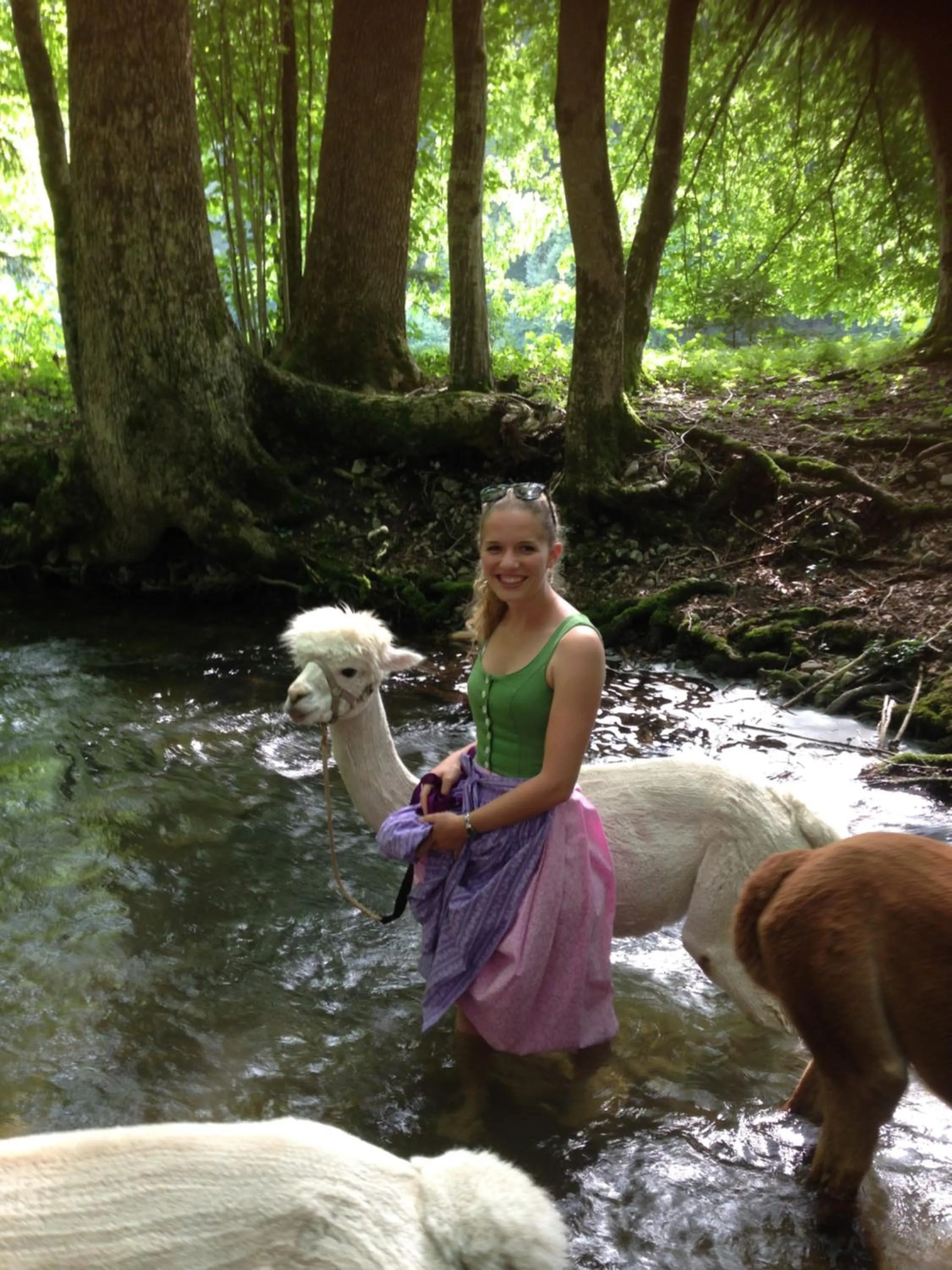 Animals in Das Franzl - Bett & Brot