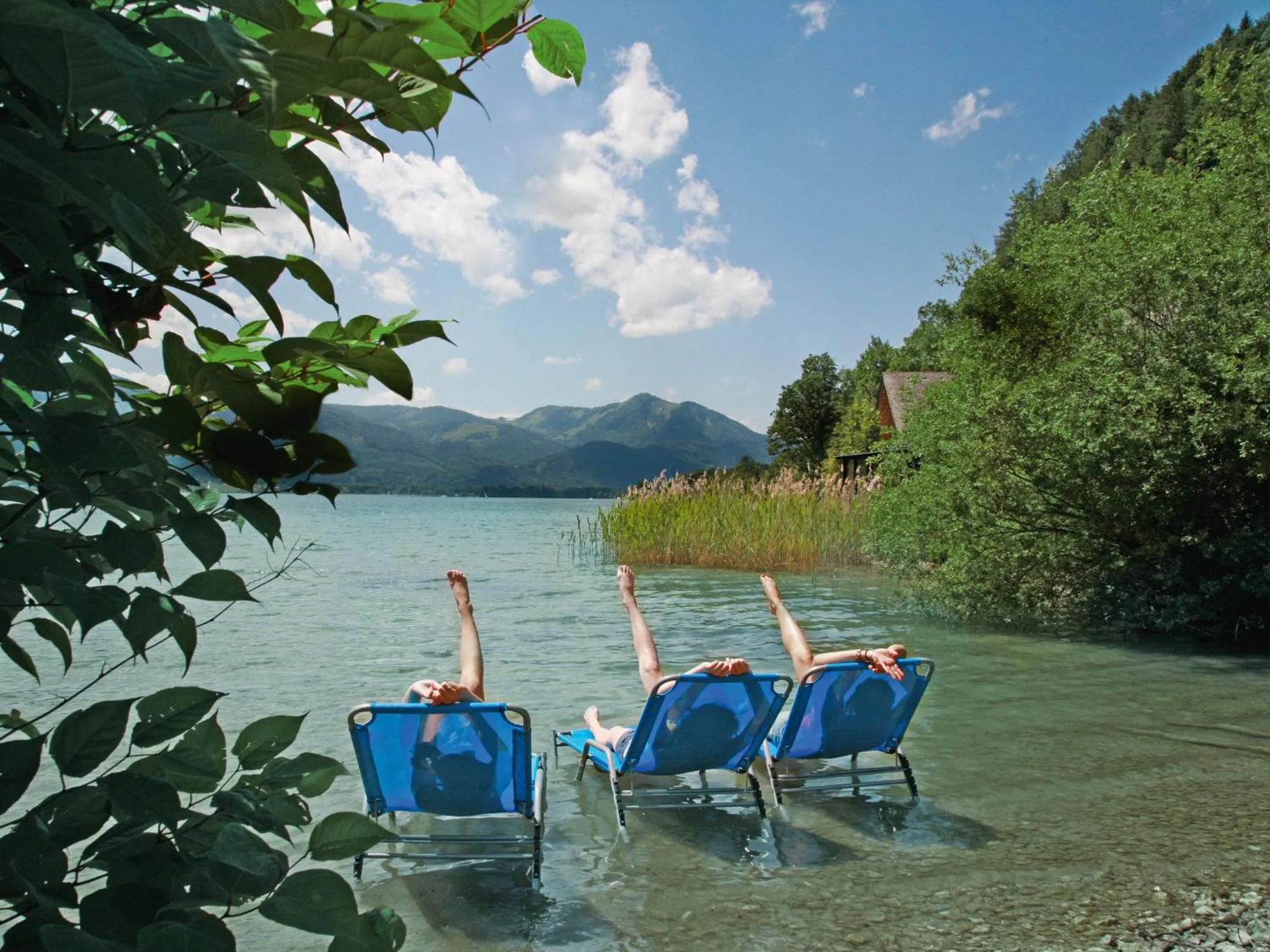 Area and facilities in Das Franzl - Bett & Brot