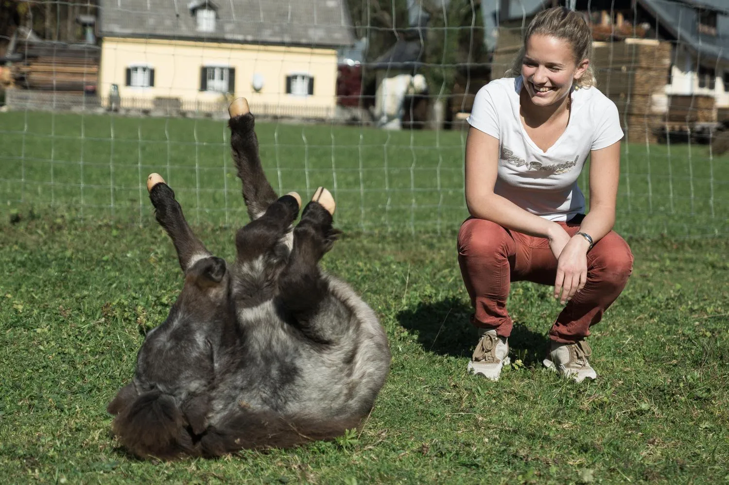 Animals in Das Franzl - Bett & Brot