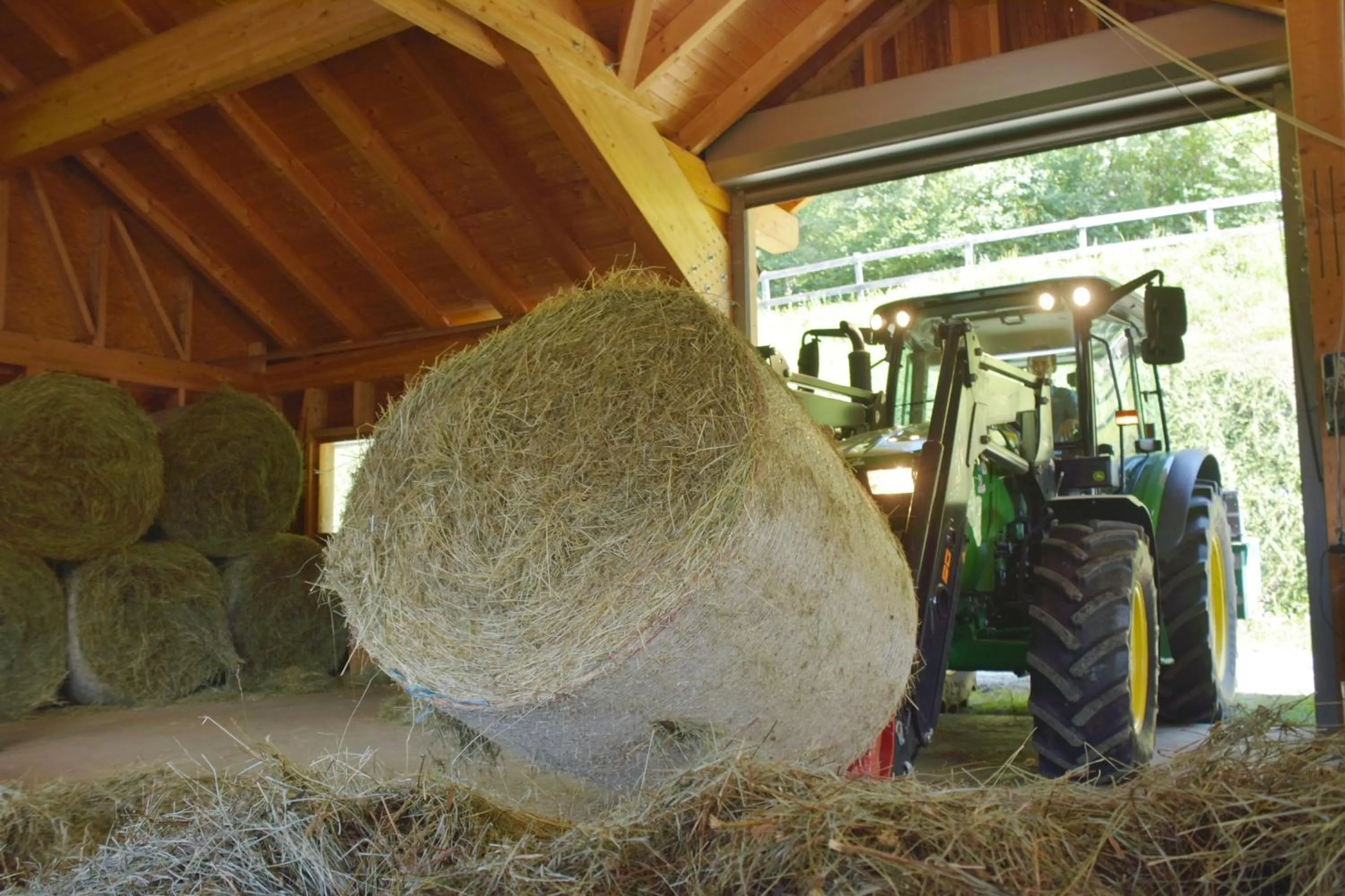 Animals in nawu apartments & Restaurant