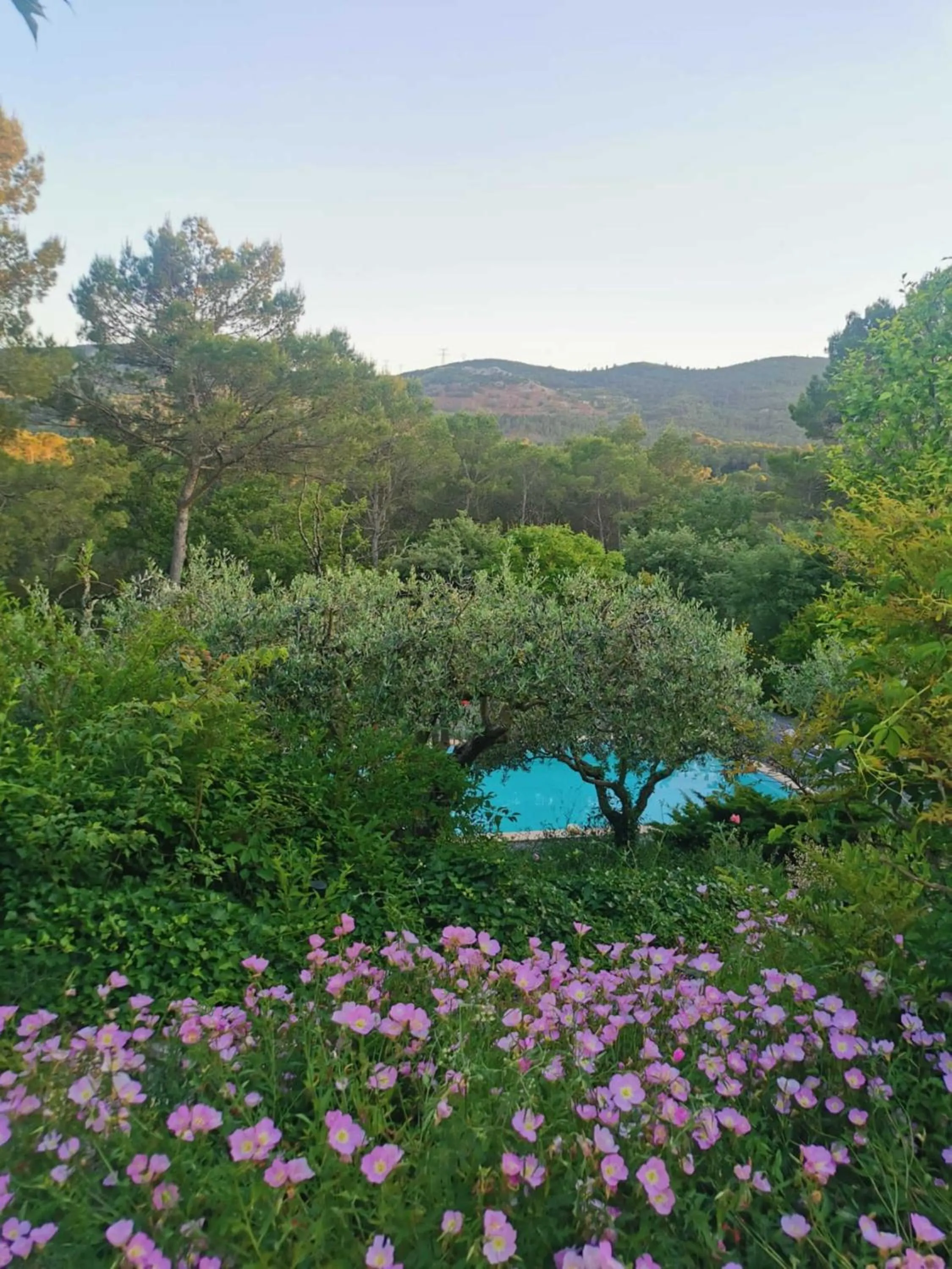 Garden view in Bastide Saint Bernard