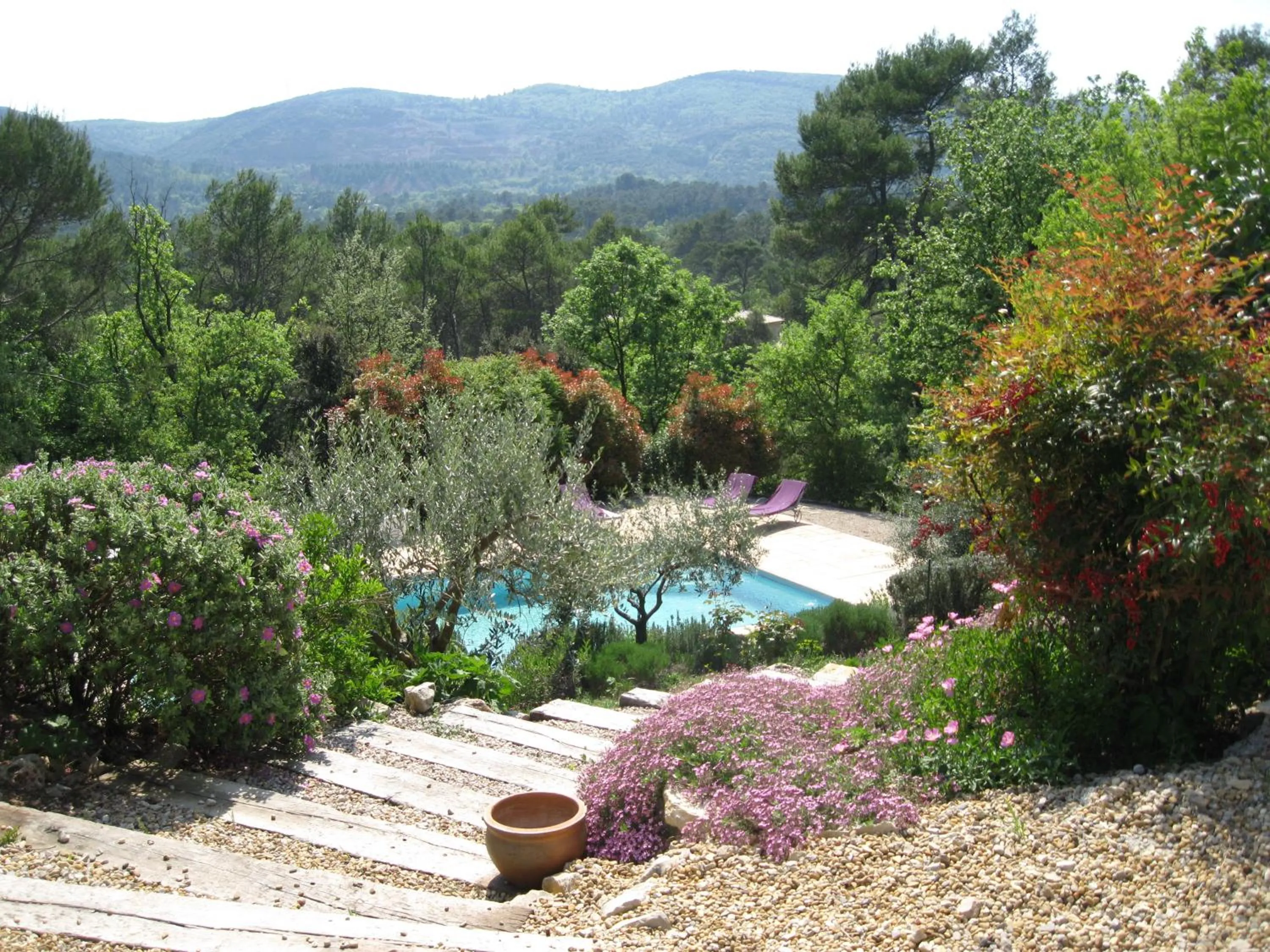 Pool view in Bastide Saint Bernard