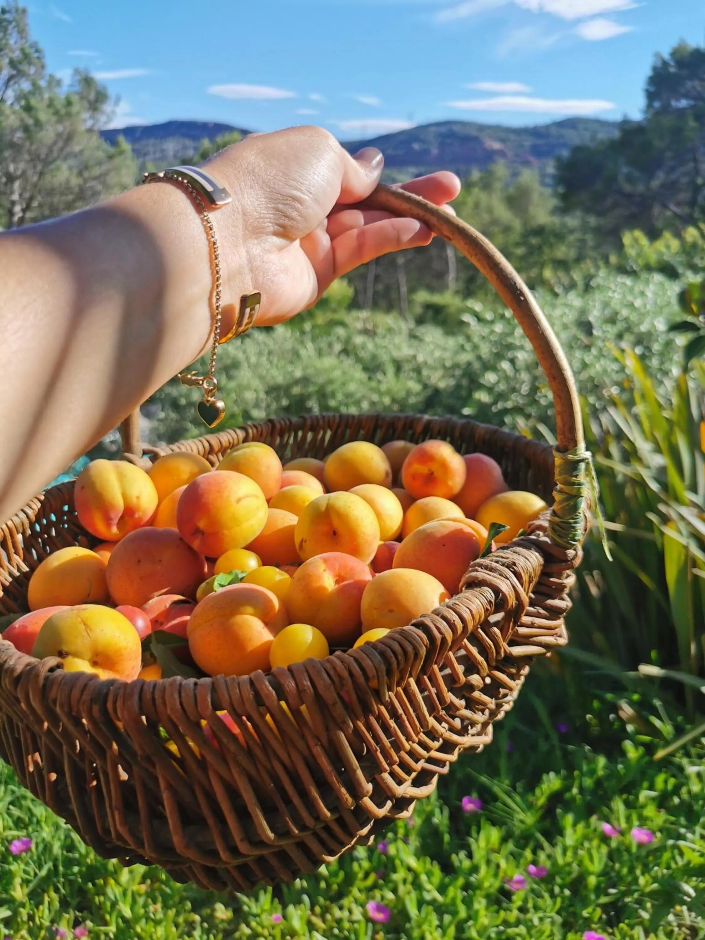 Spring in Bastide Saint Bernard