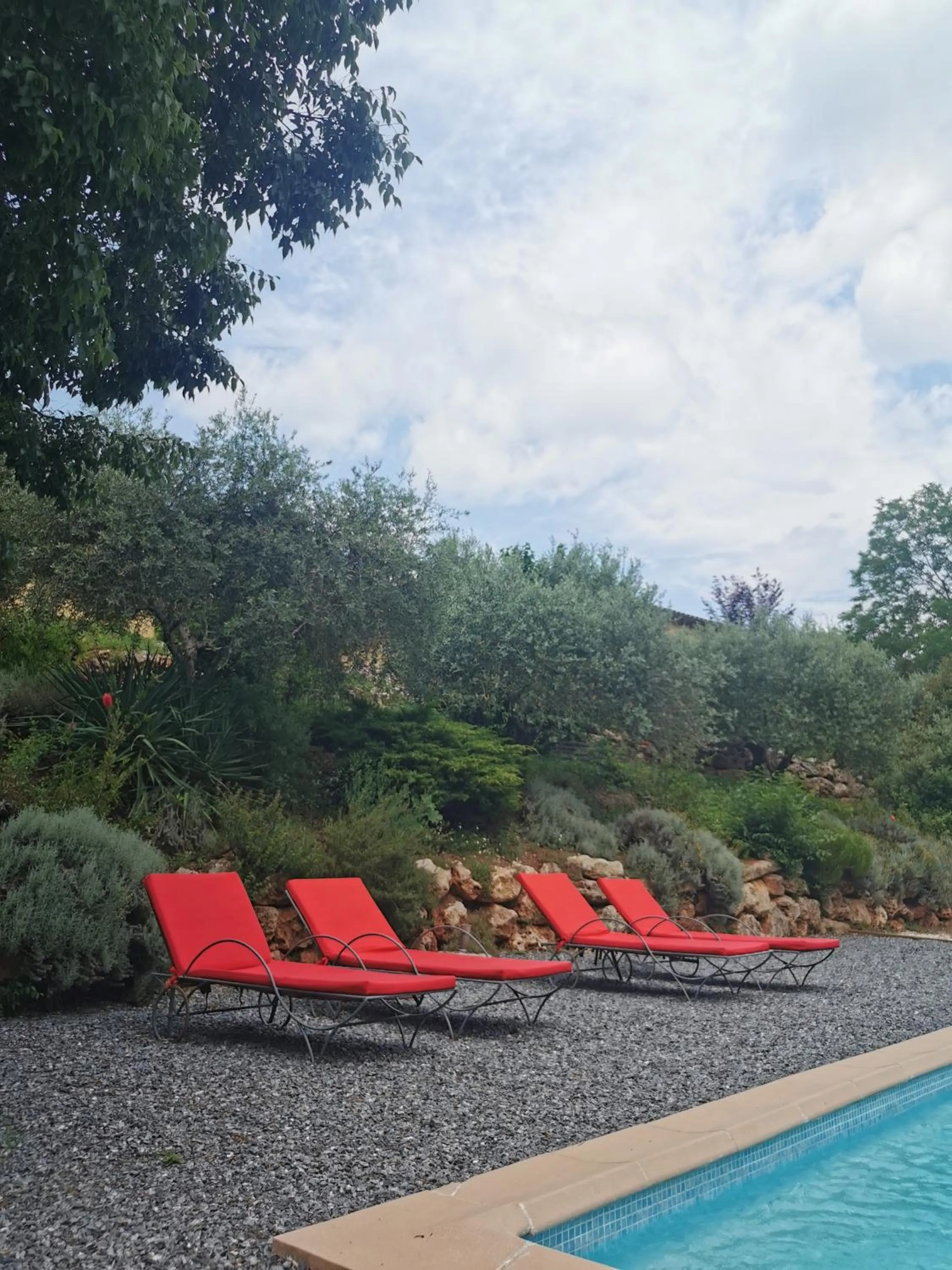 Garden in Bastide Saint Bernard