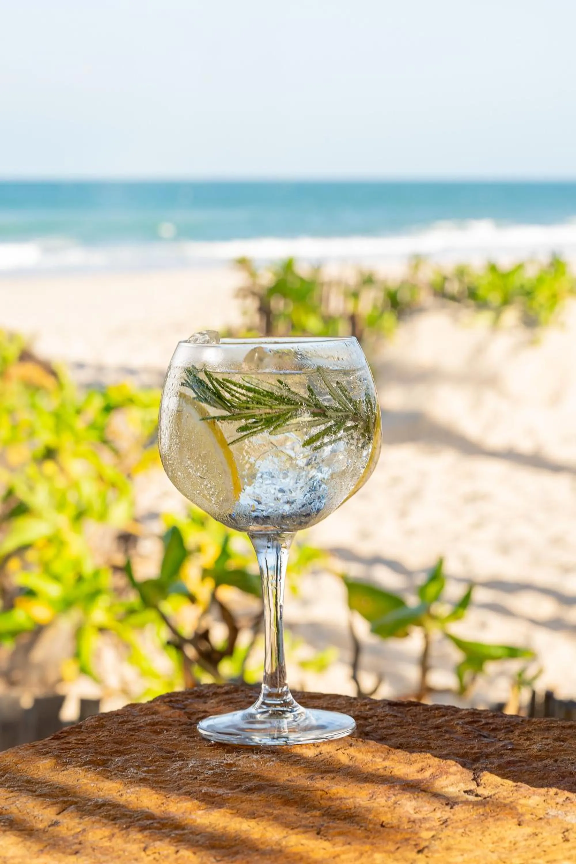 Drinks in Beach Park Resort - Oceani