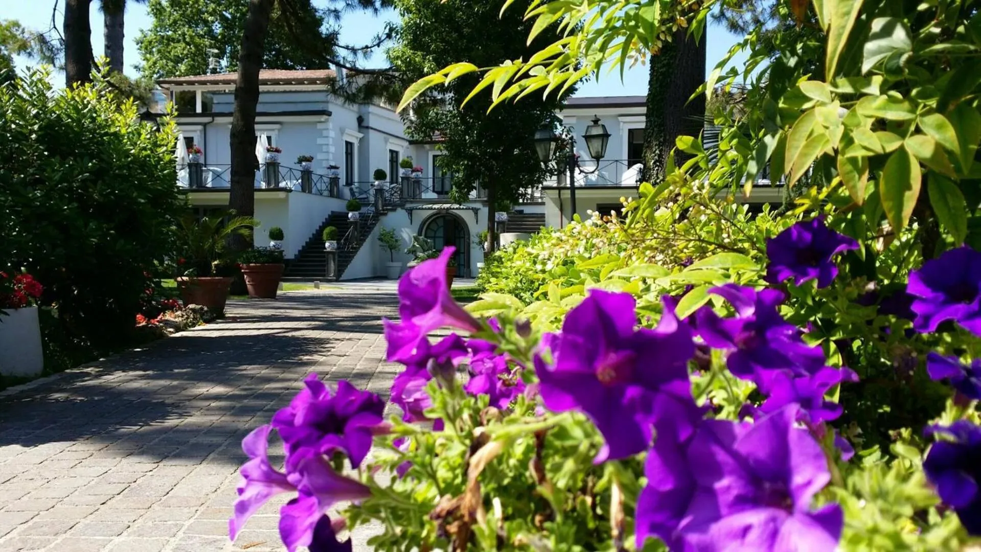 Villa Minieri Resort & SPA