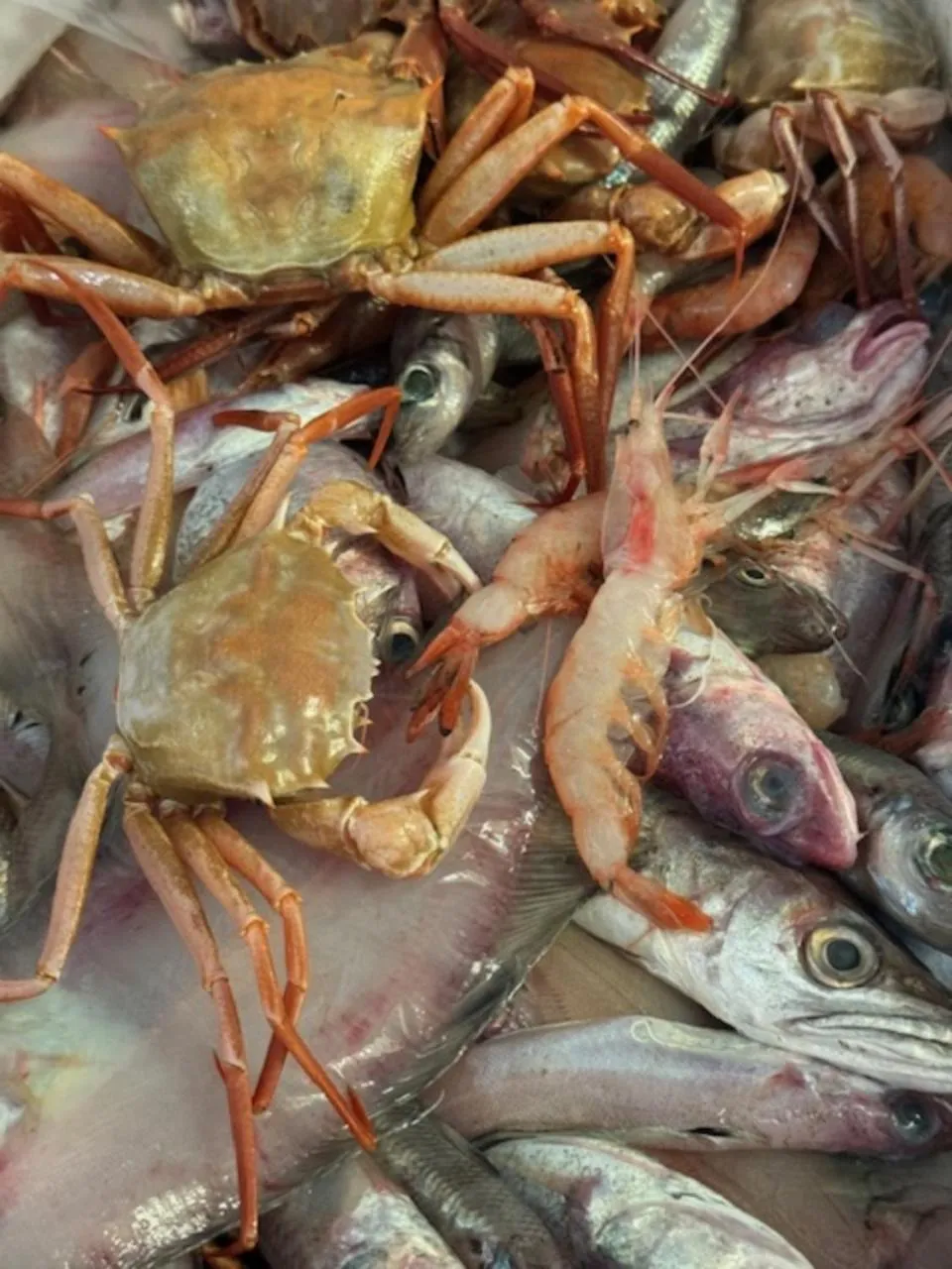 Restaurant/places to eat in Hotel Ristorante Milton