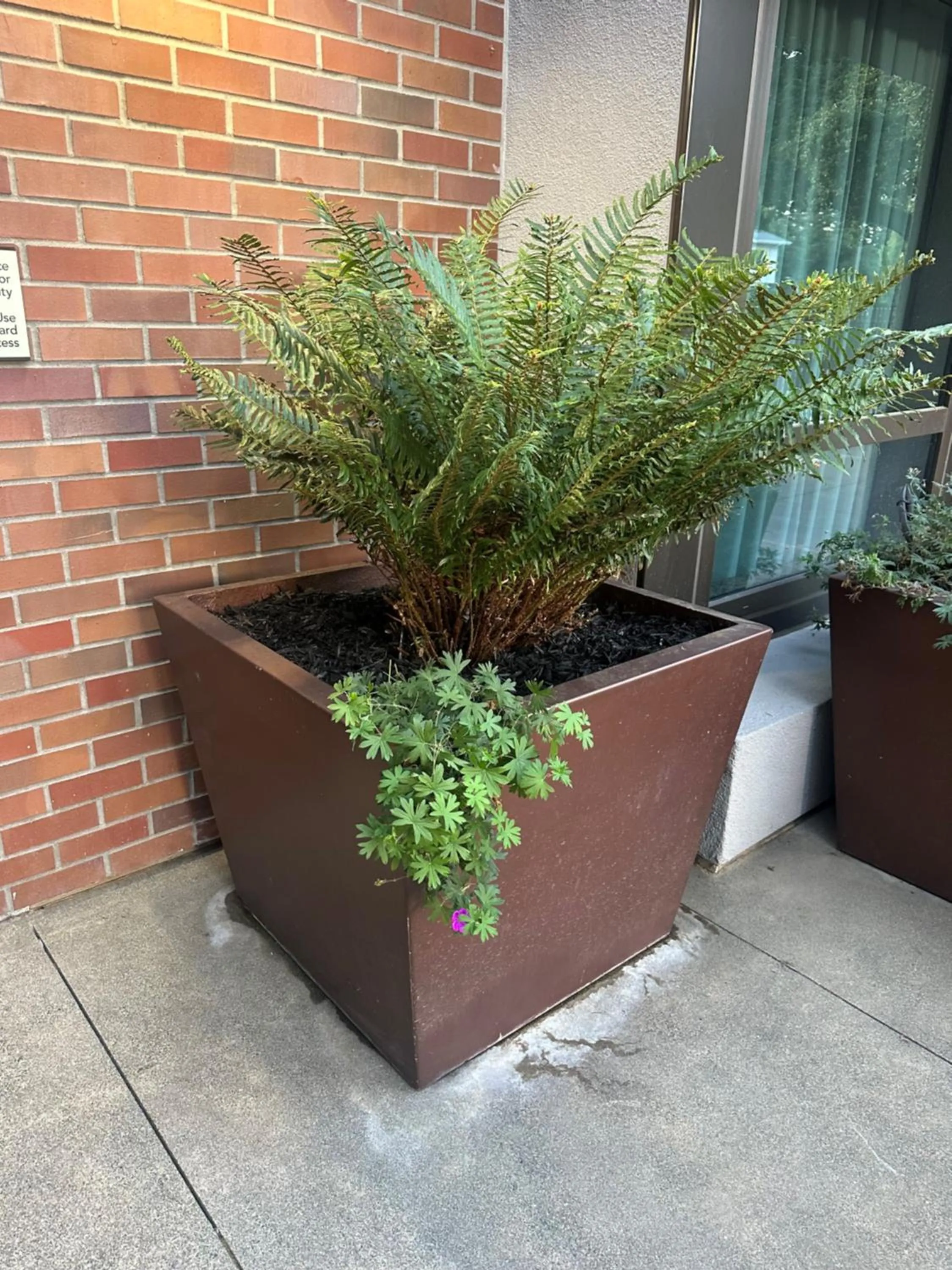 Garden in Homewood Suites by Hilton Palo Alto