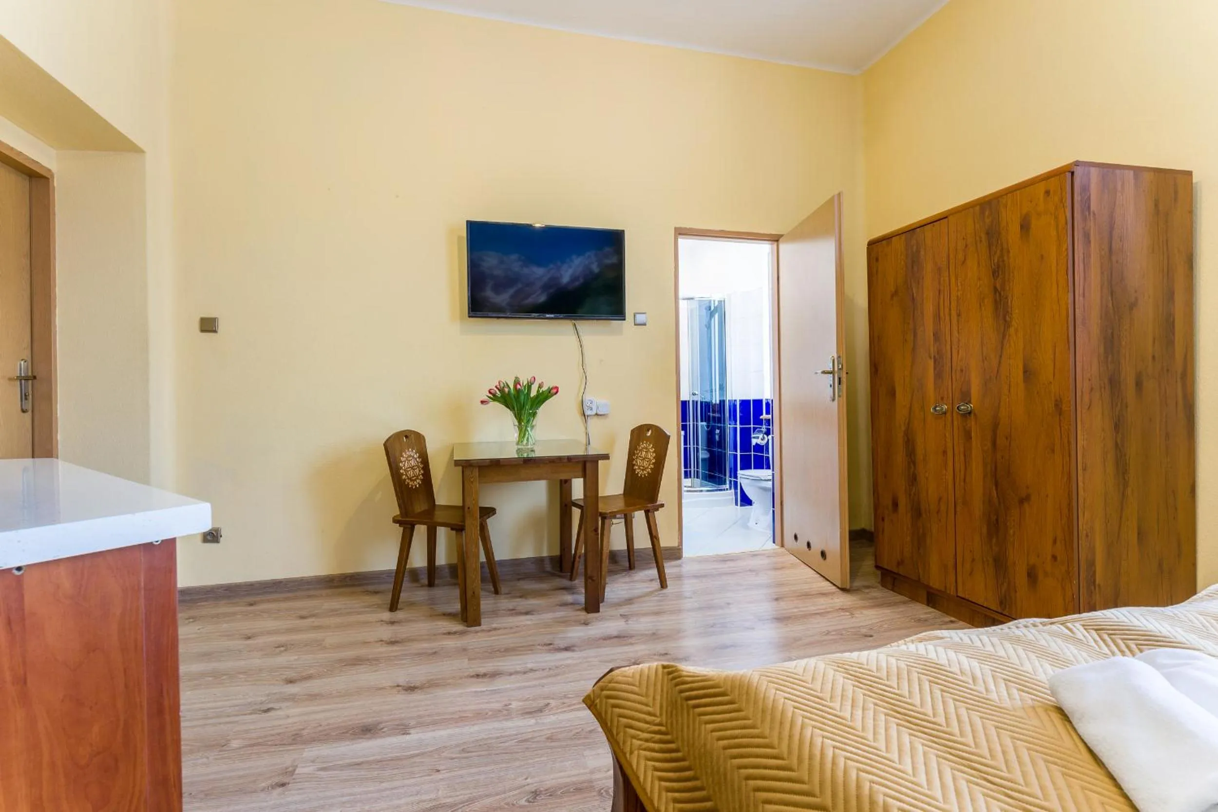 TV and multimedia in Willa Zakopiańczyk