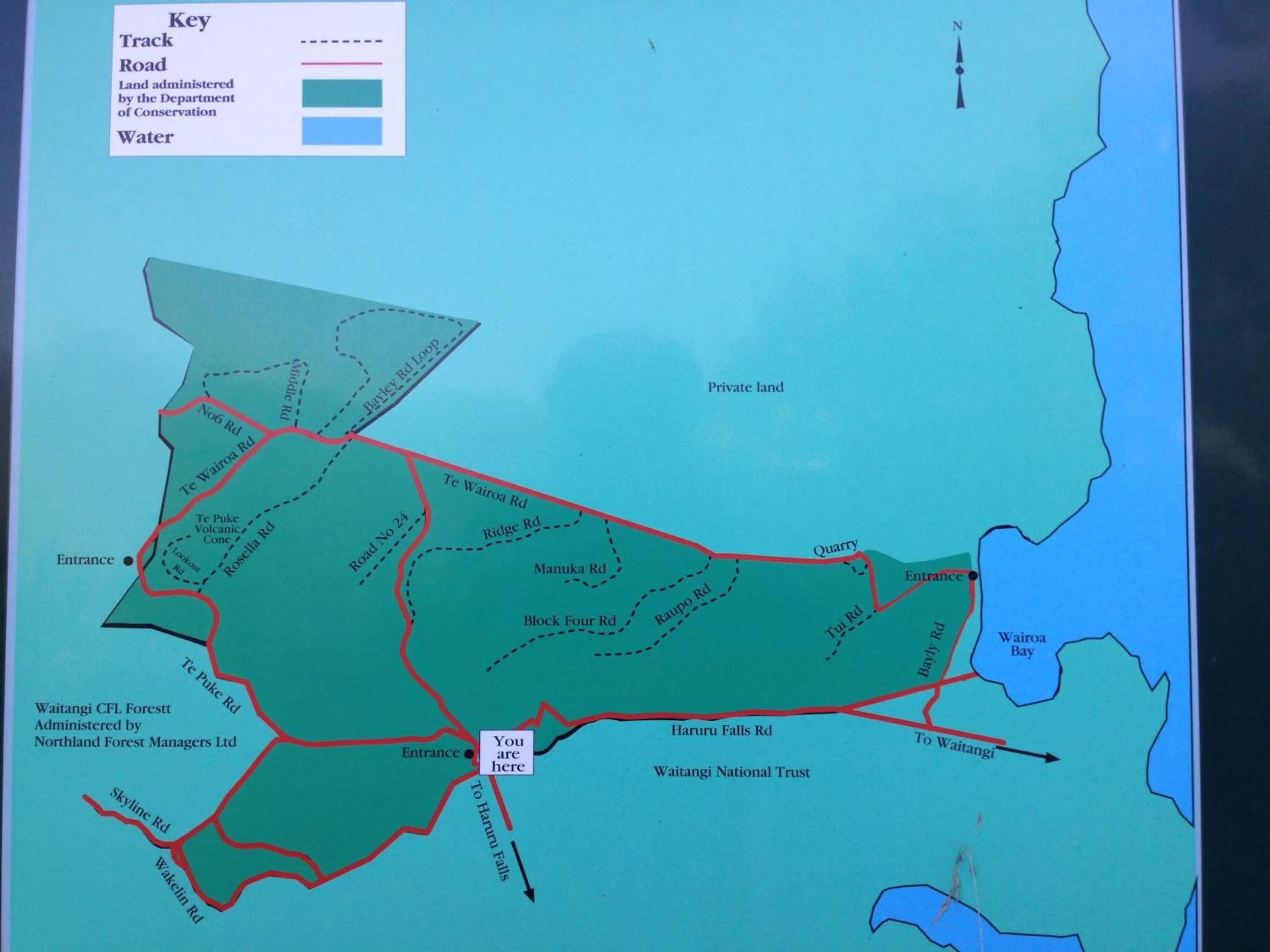 Hiking in Baywaterviews