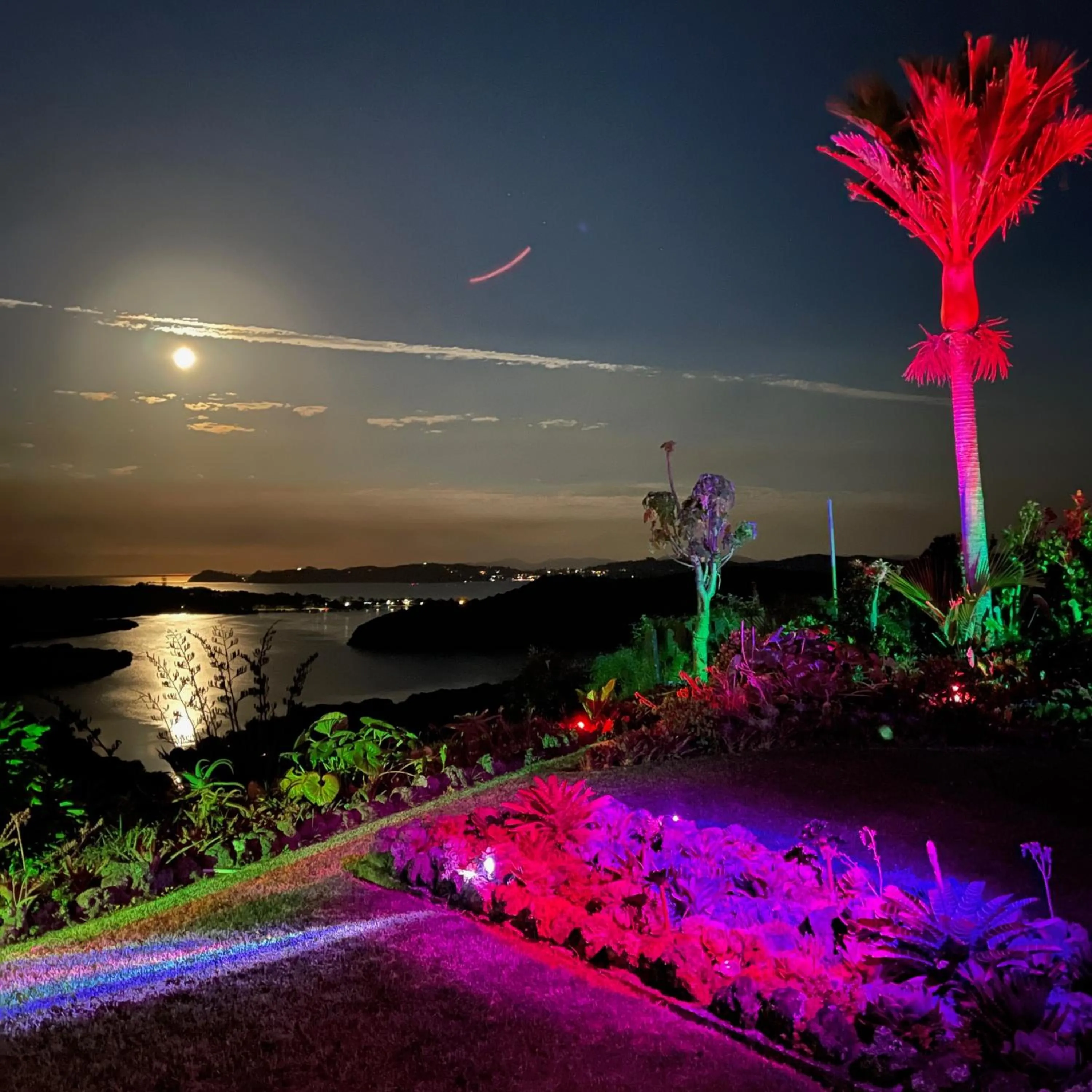 Garden view in Baywaterviews