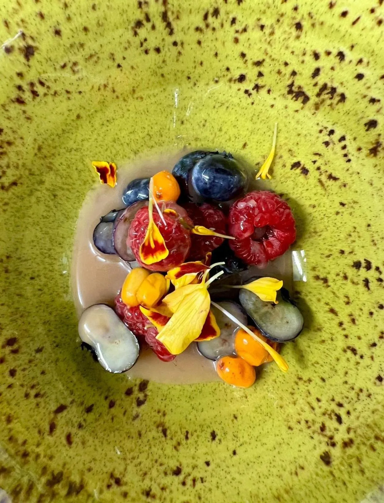 Balder Luxury Lodge & Glass Igloos