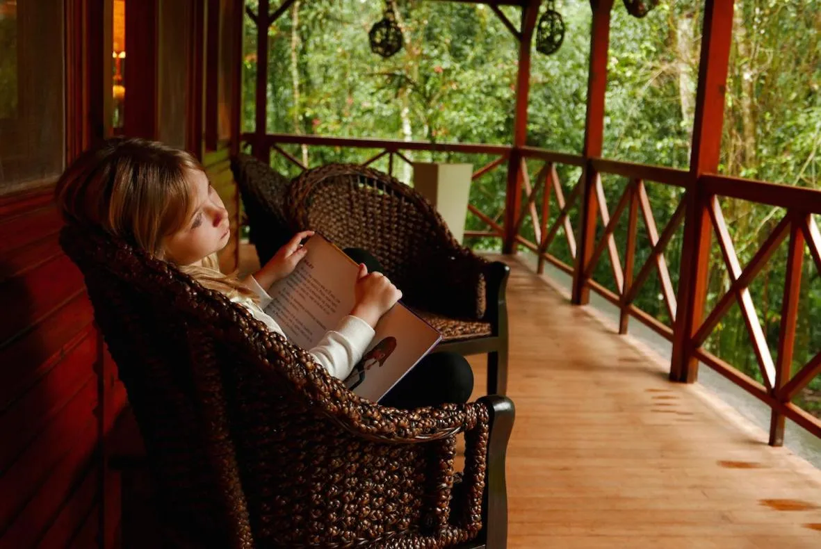 Day in Selva de Laurel