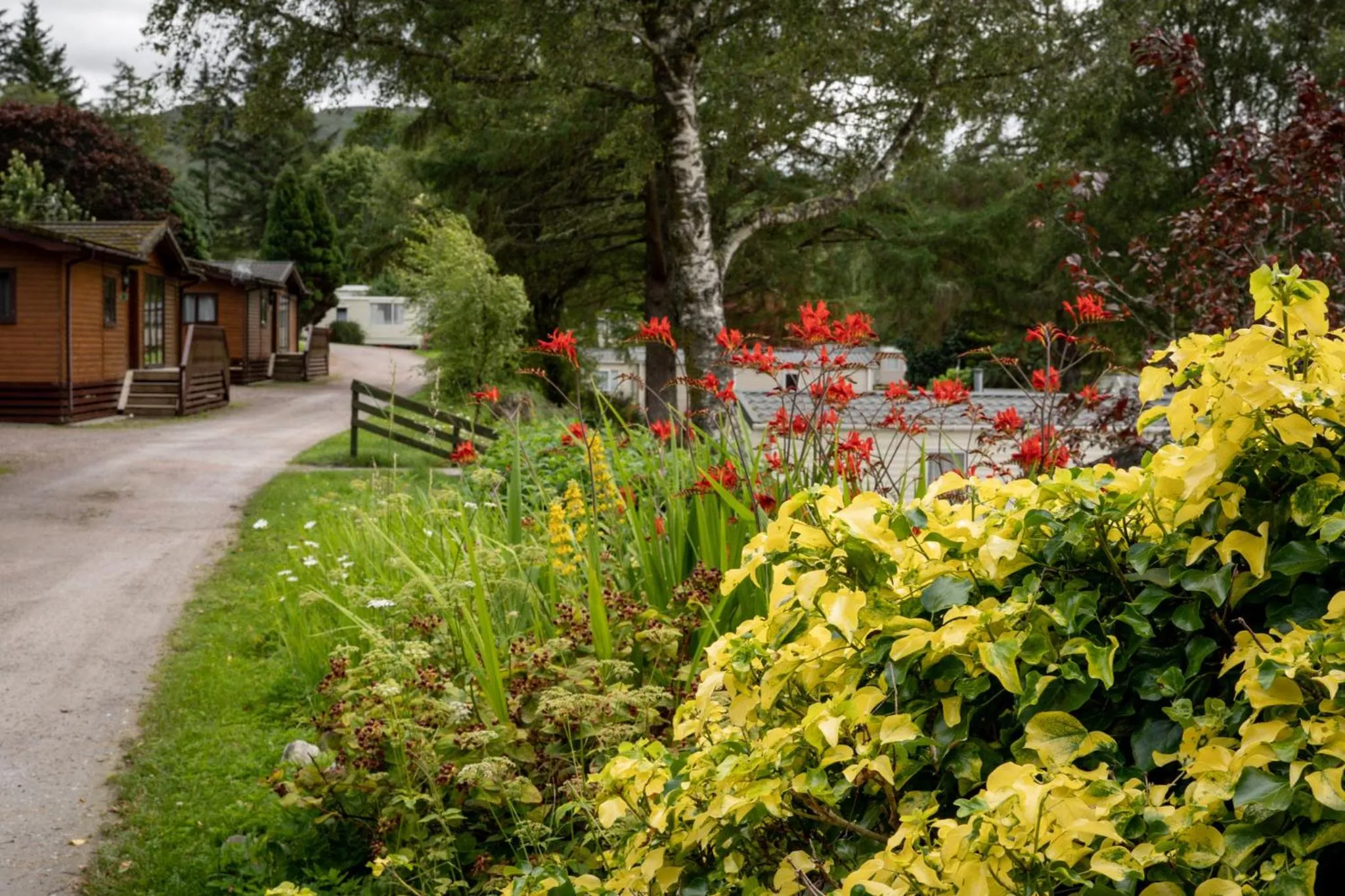 Garden in Linnhe Lochside Holidays