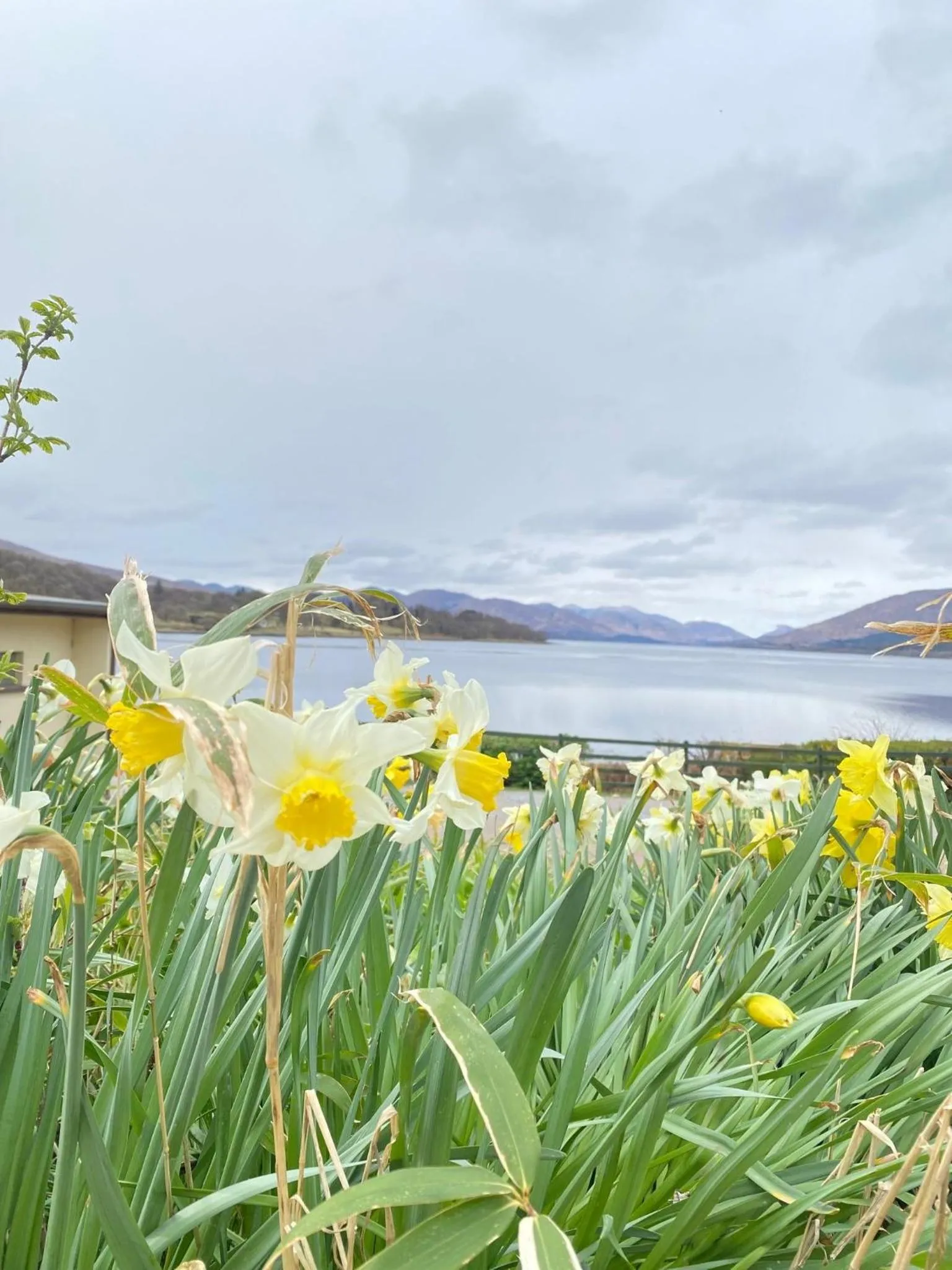 View (from property/room) in Linnhe Lochside Holidays