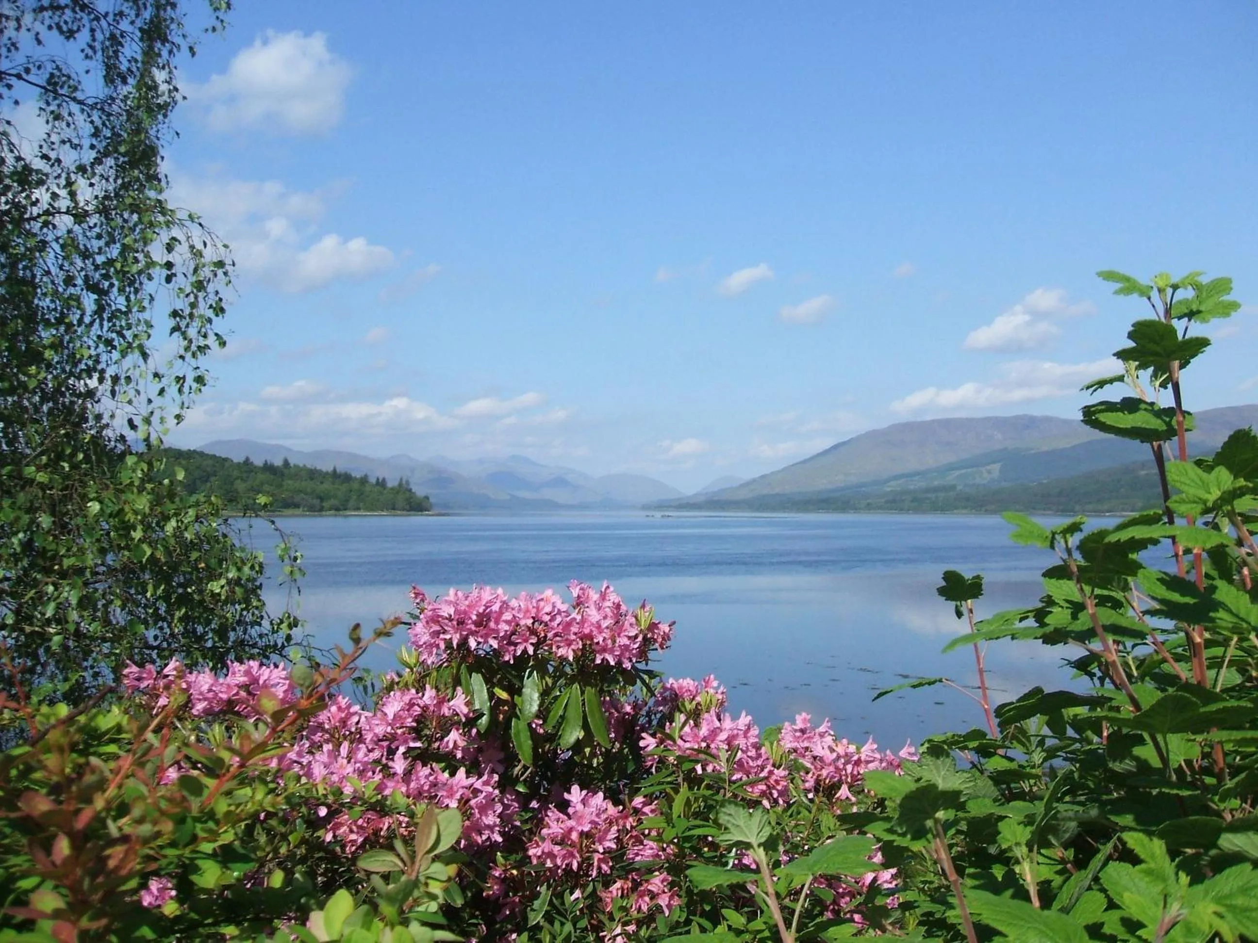 Garden in Linnhe Lochside Holidays