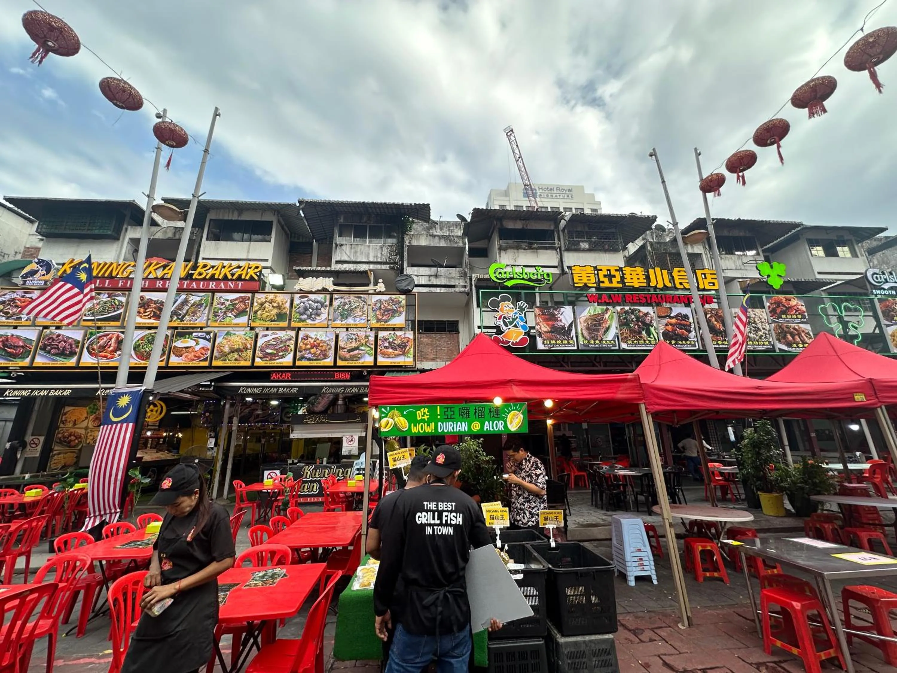 Property building in SS Grey House