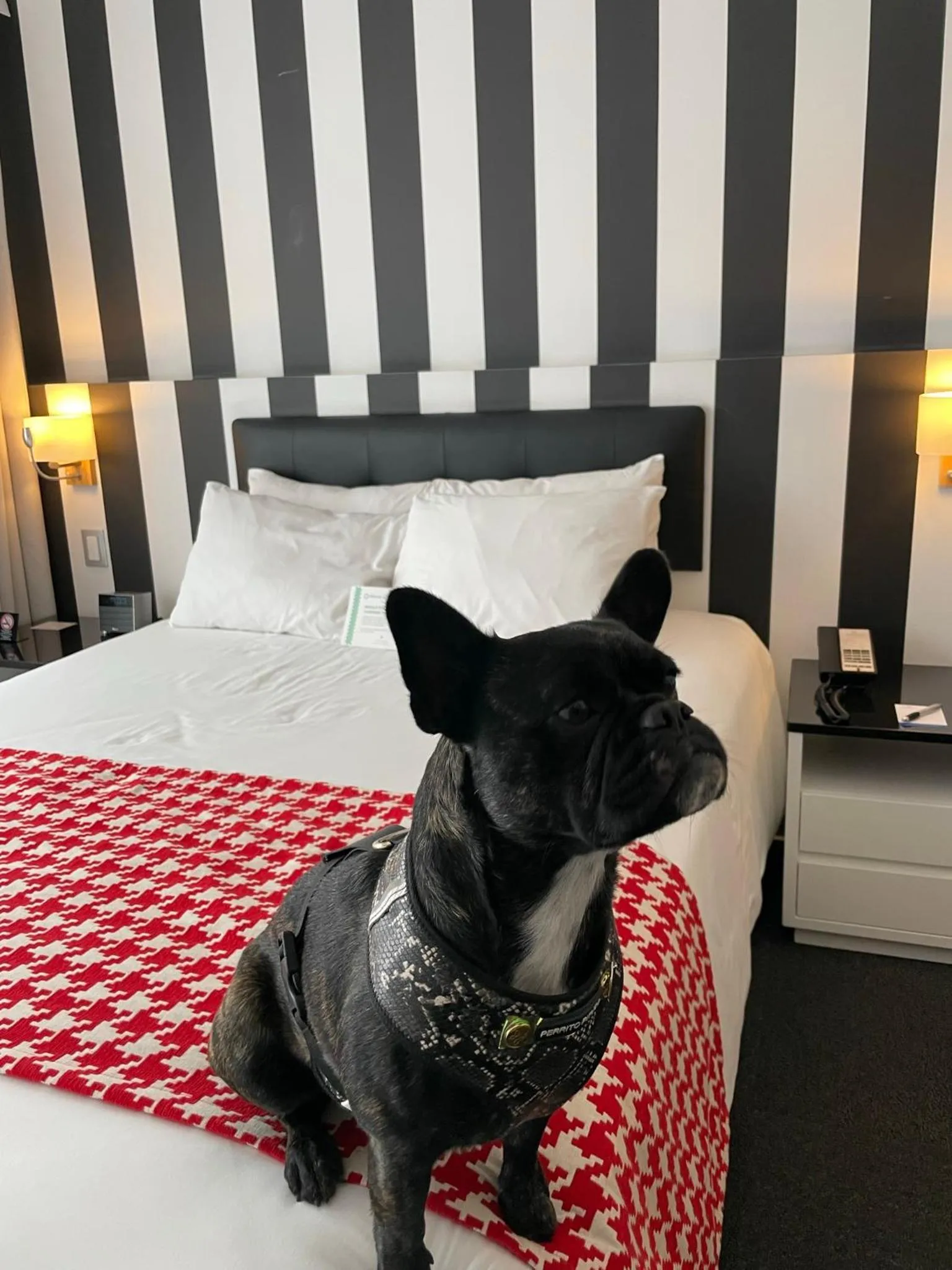 Bedroom, Bed in Wyndham Costa del Sol Lima City