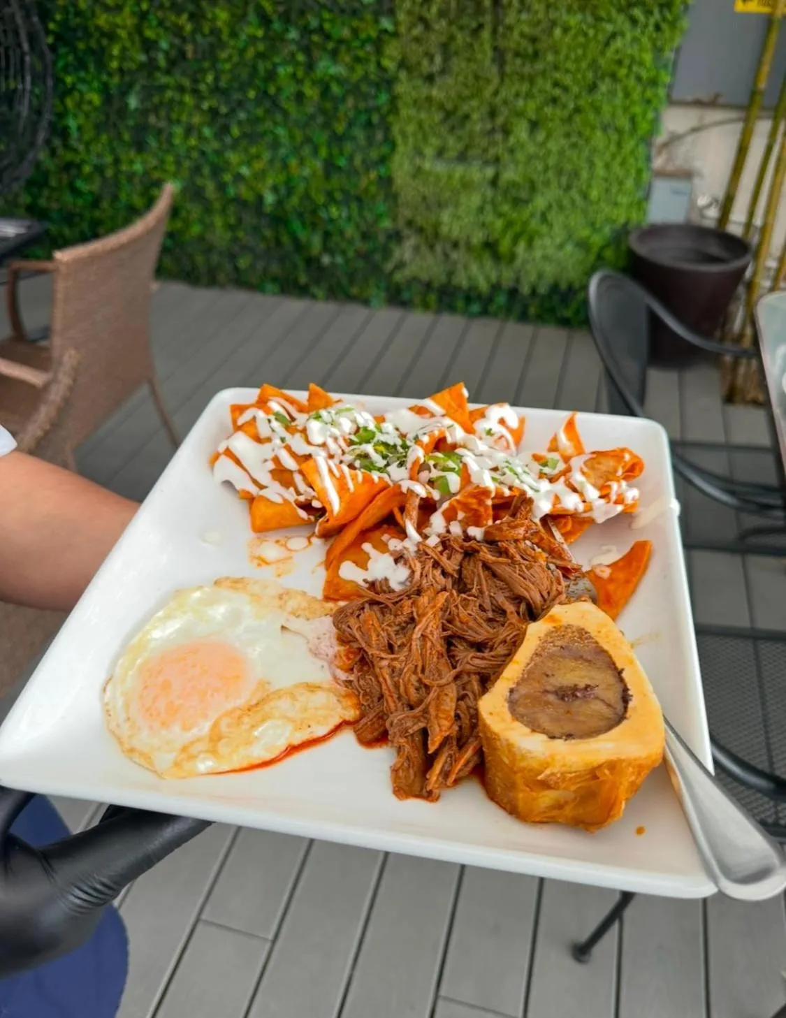 Restaurant/places to eat in Hotel Velario