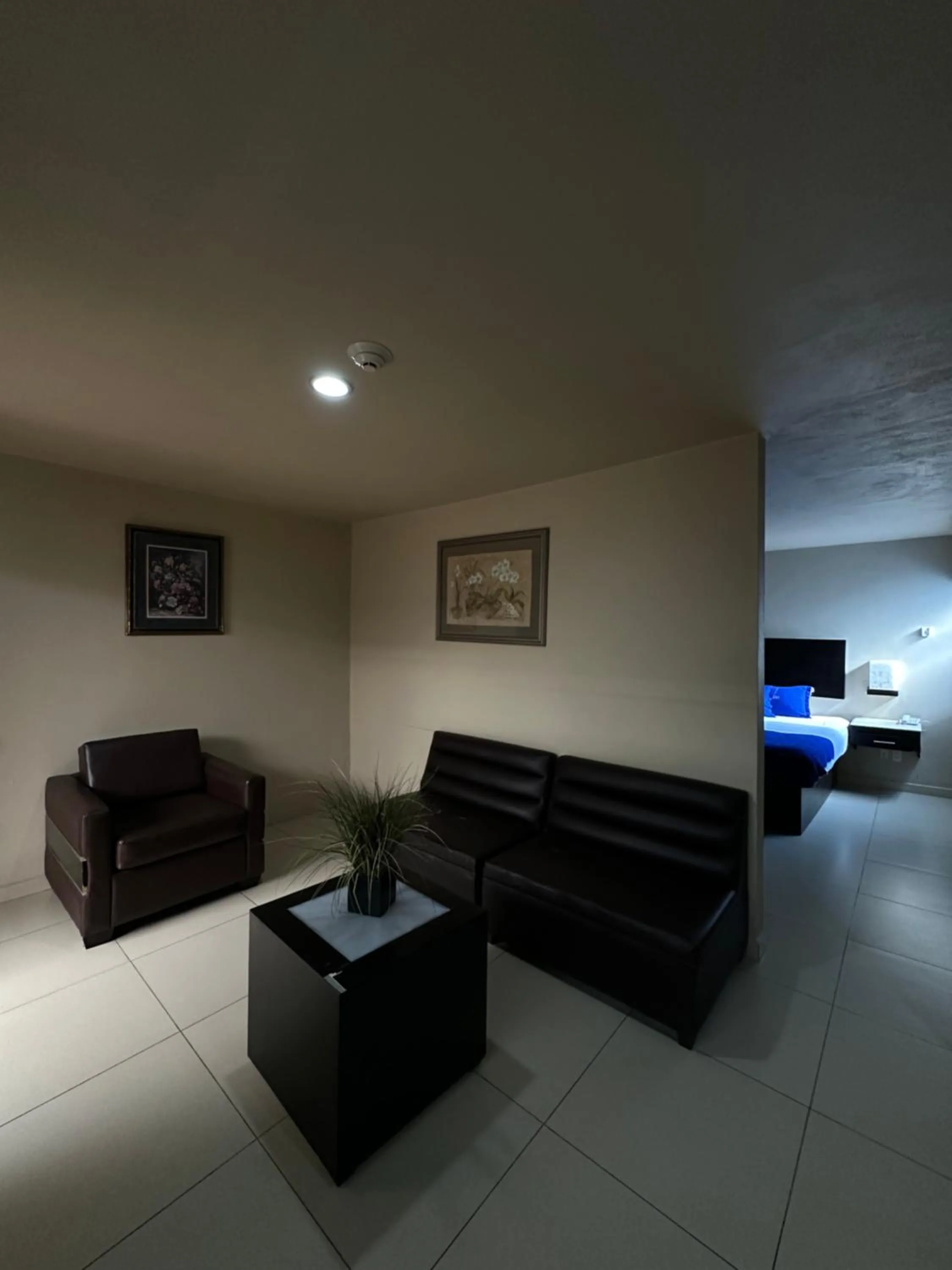 Photo of the whole room in Hotel Velario